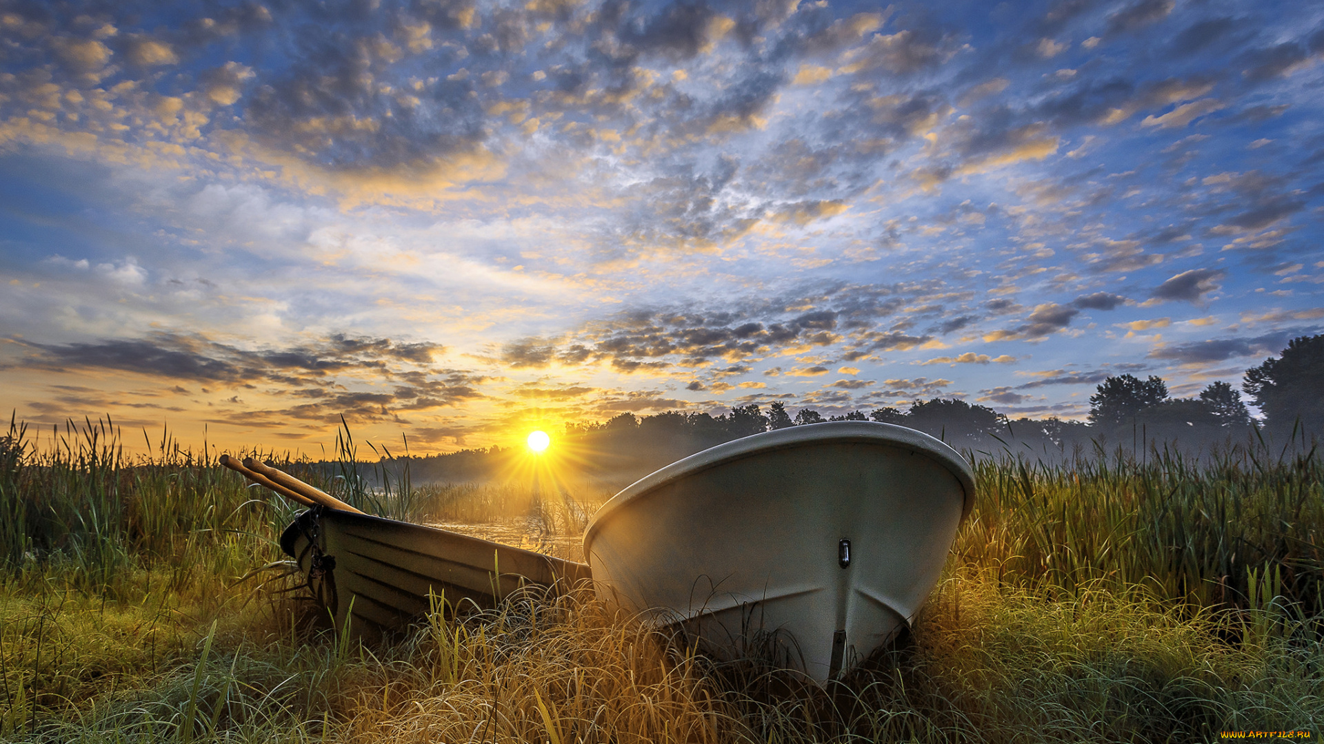 корабли, лодки, , шлюпки, река, лес