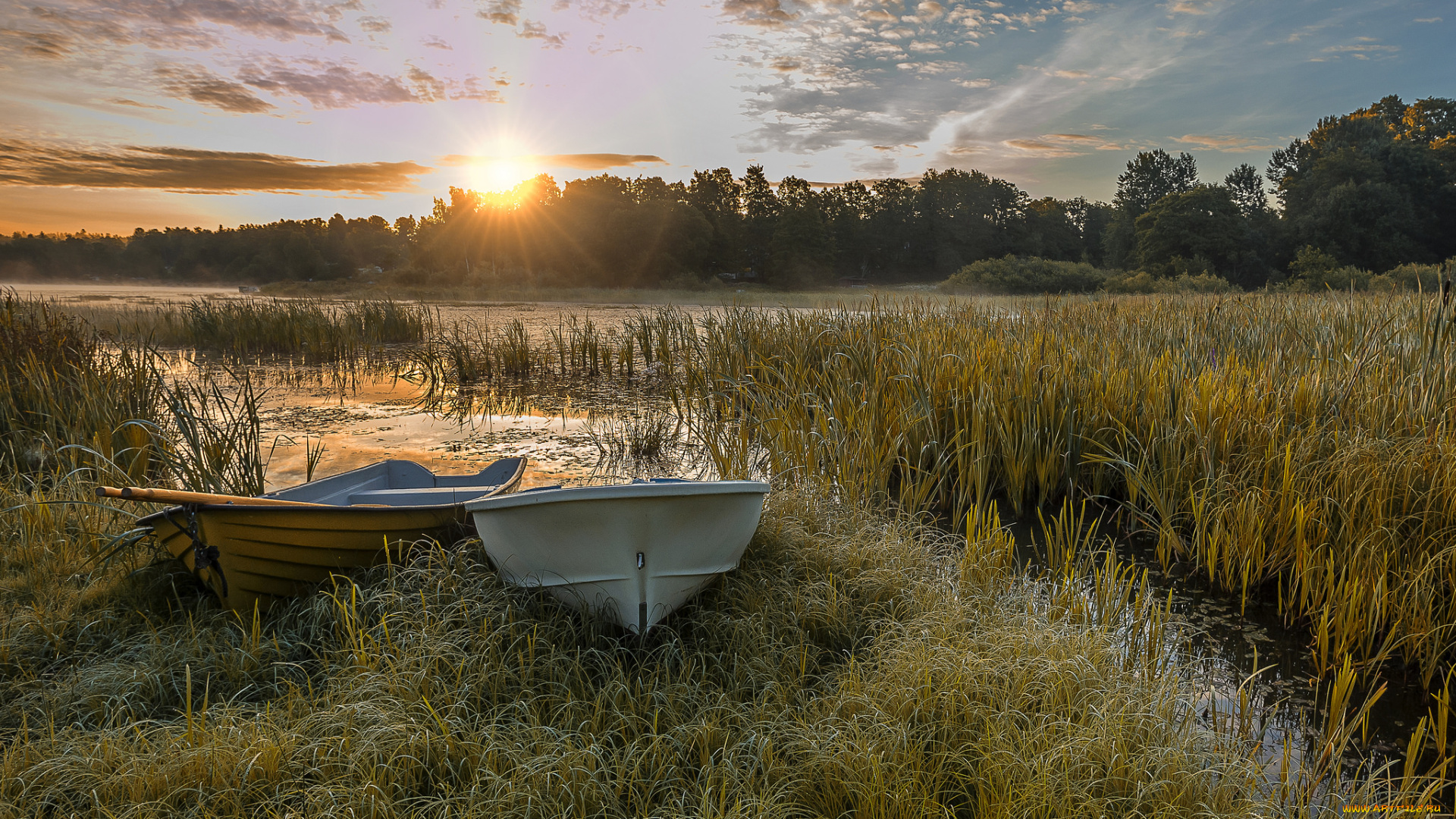 корабли, лодки, , шлюпки, река, лес