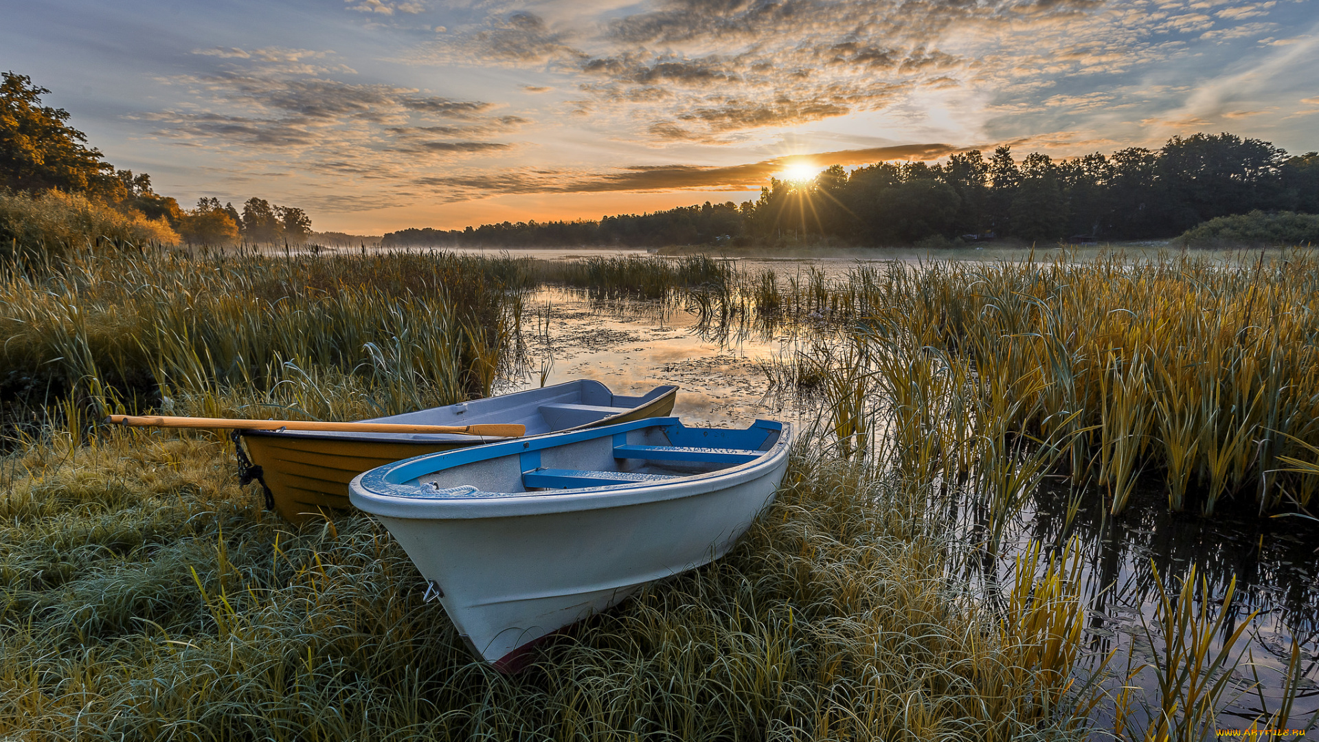 корабли, лодки, , шлюпки, река, лес