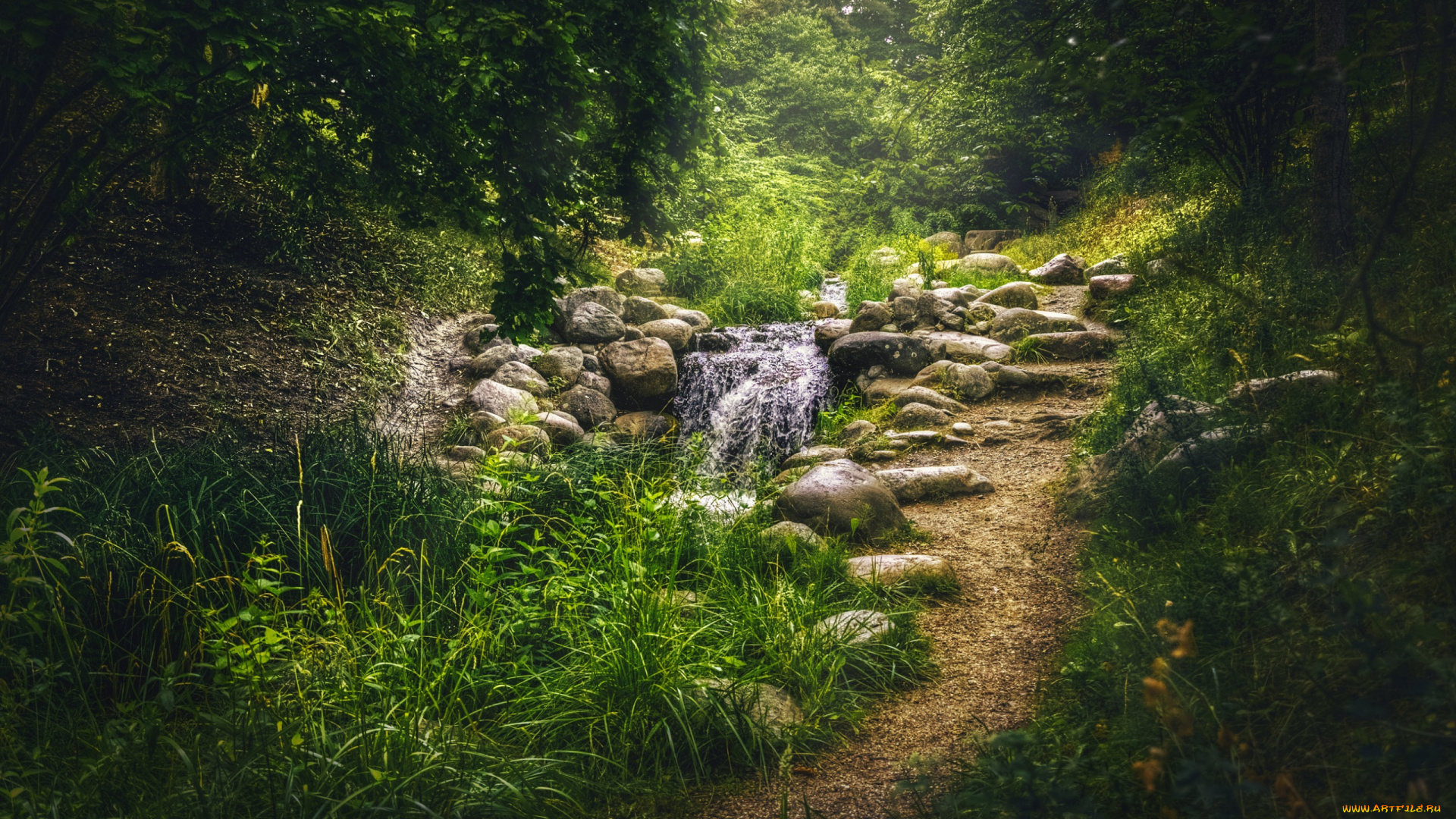 природа, дороги, ручей, камни, деревья, парк, трава, зелень