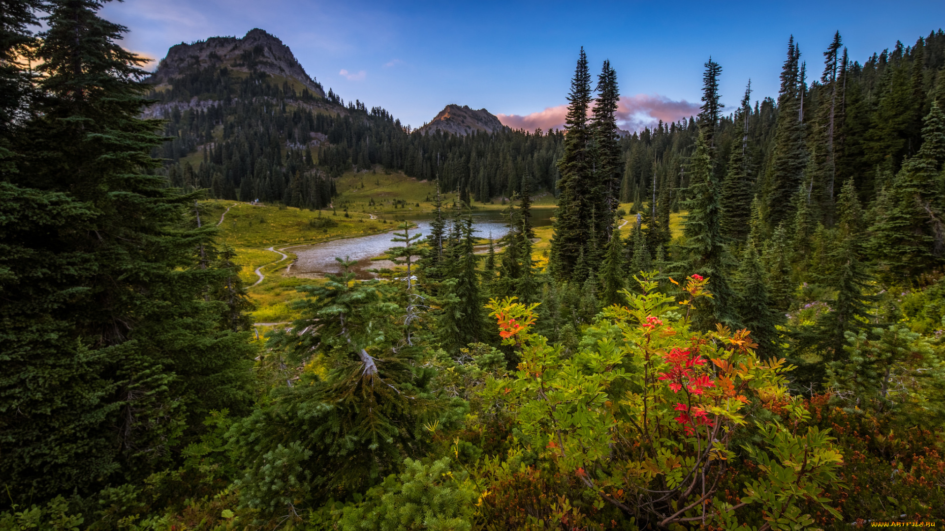 природа, реки, озера, лес, река