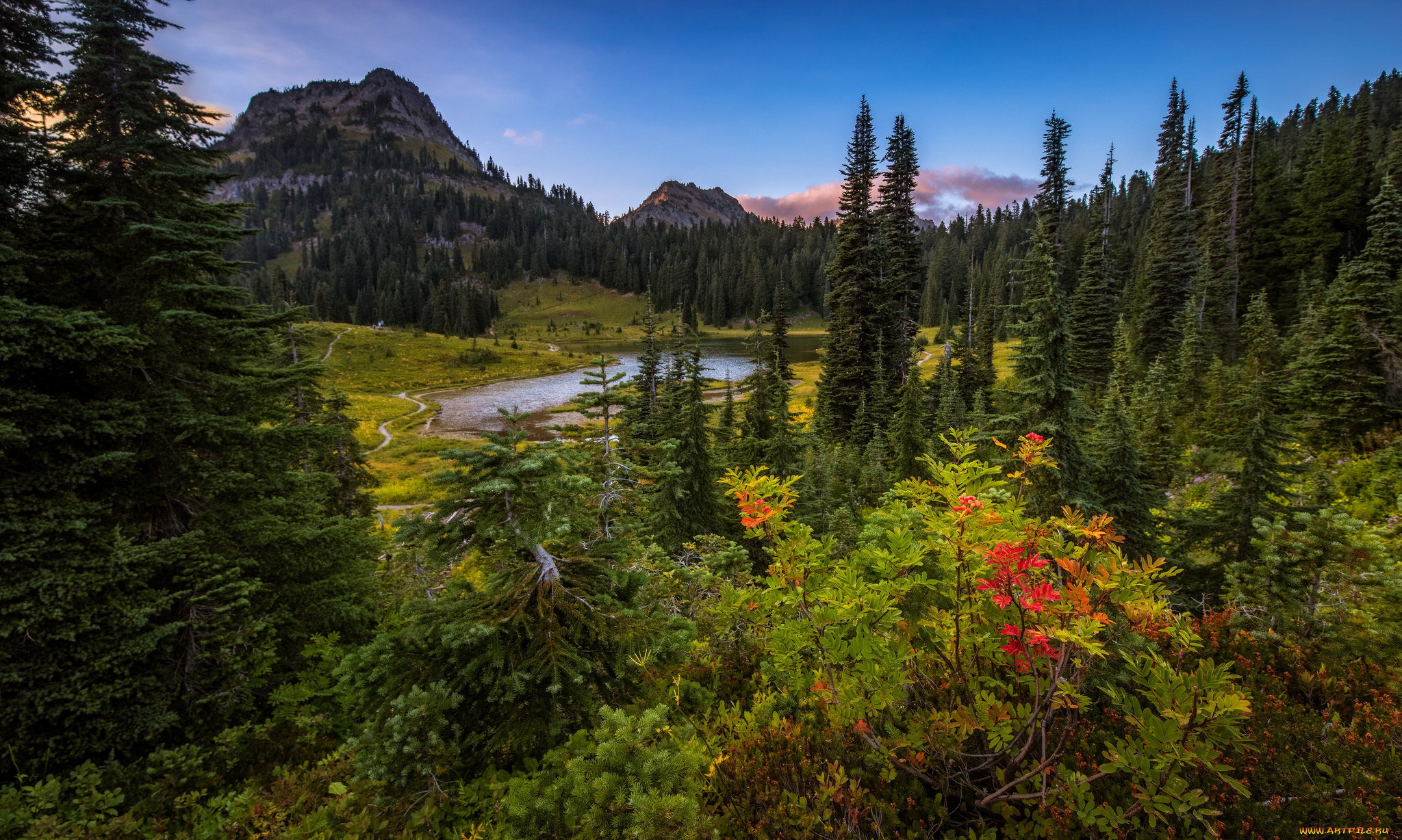 природа, реки, озера, лес, река