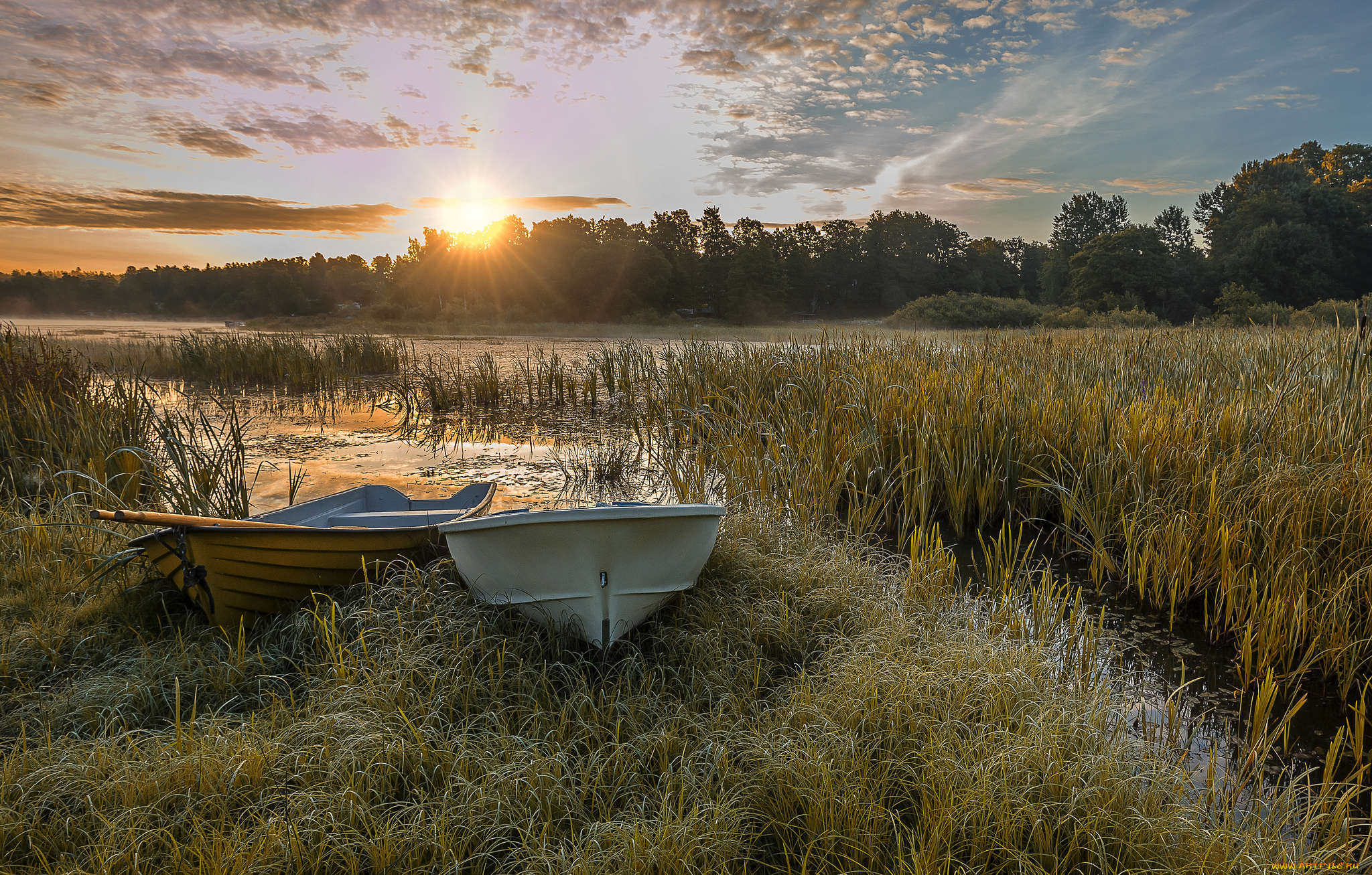 корабли, лодки, , шлюпки, река, лес