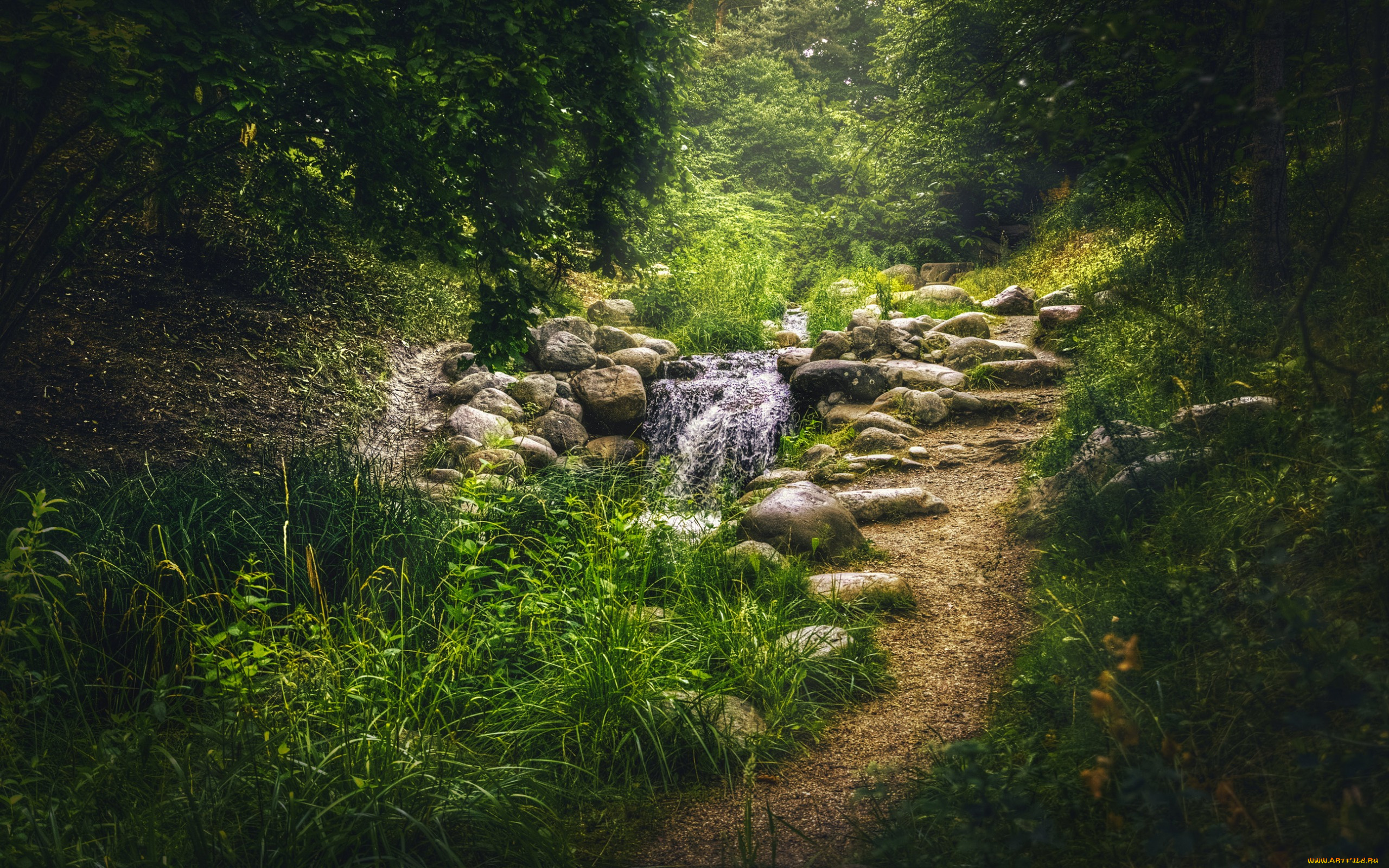 природа, дороги, ручей, камни, деревья, парк, трава, зелень