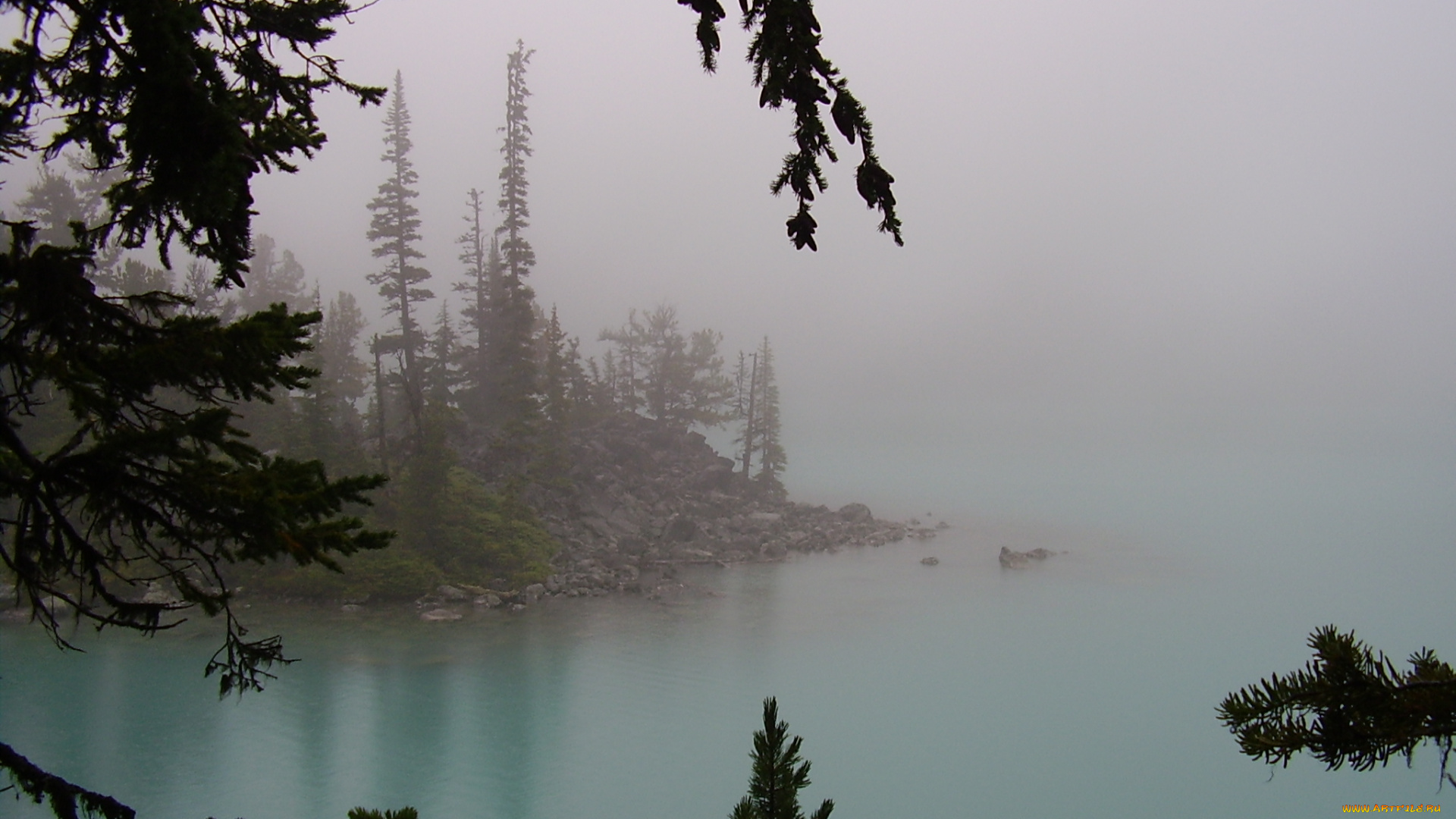 природа, реки, озера, деревья, озеро, туман