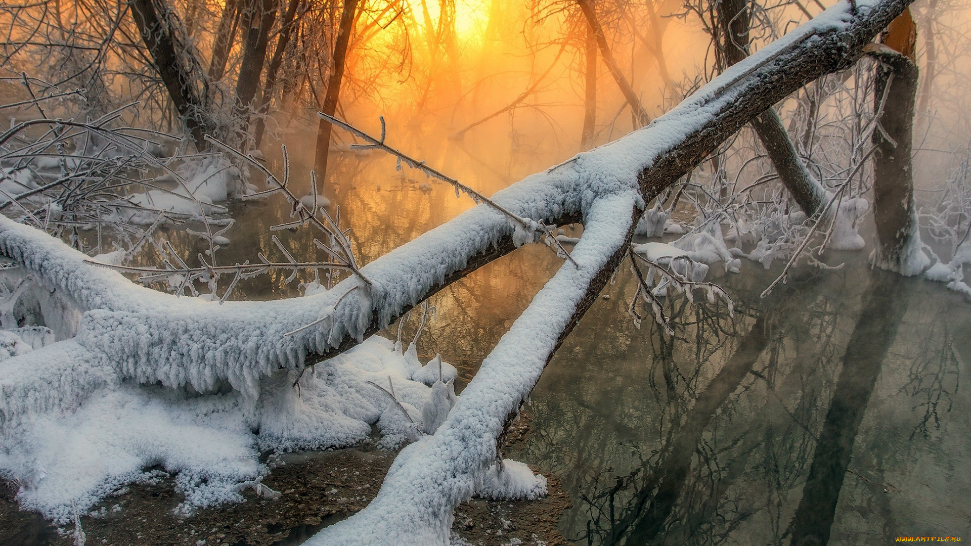 природа, восходы, закаты, снег, зима