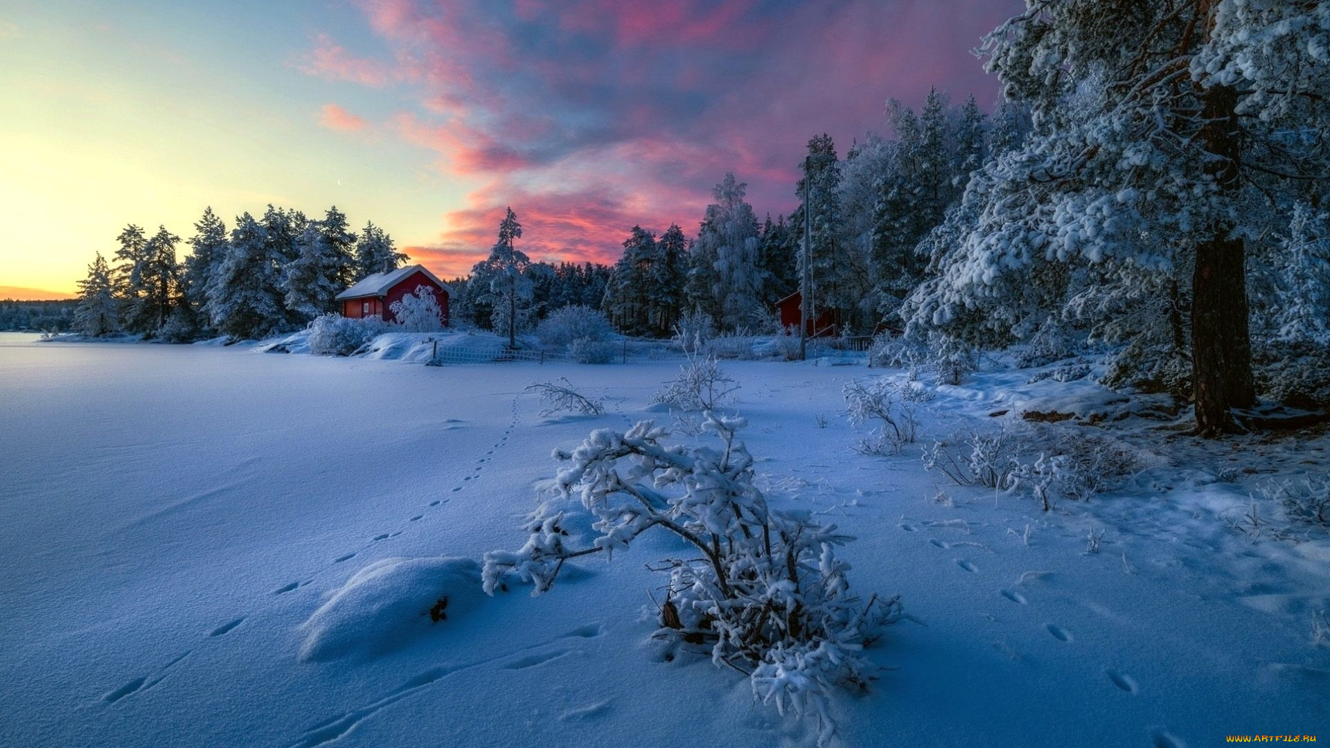 природа, зима, снег