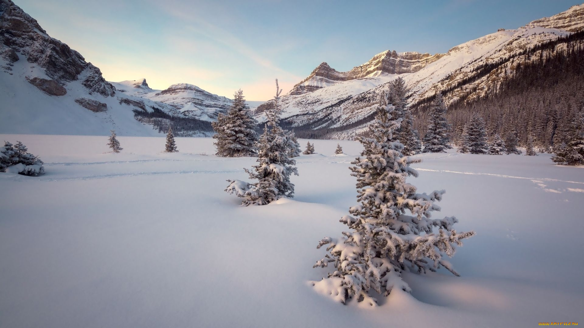 природа, зима, снег