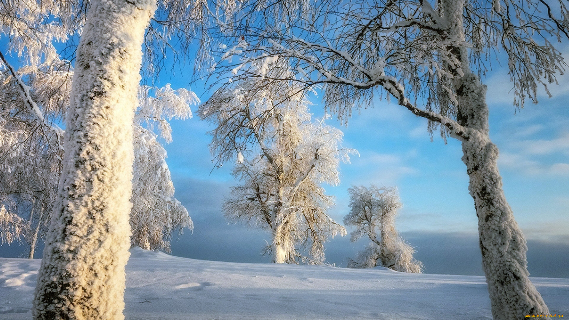 природа, зима, снег