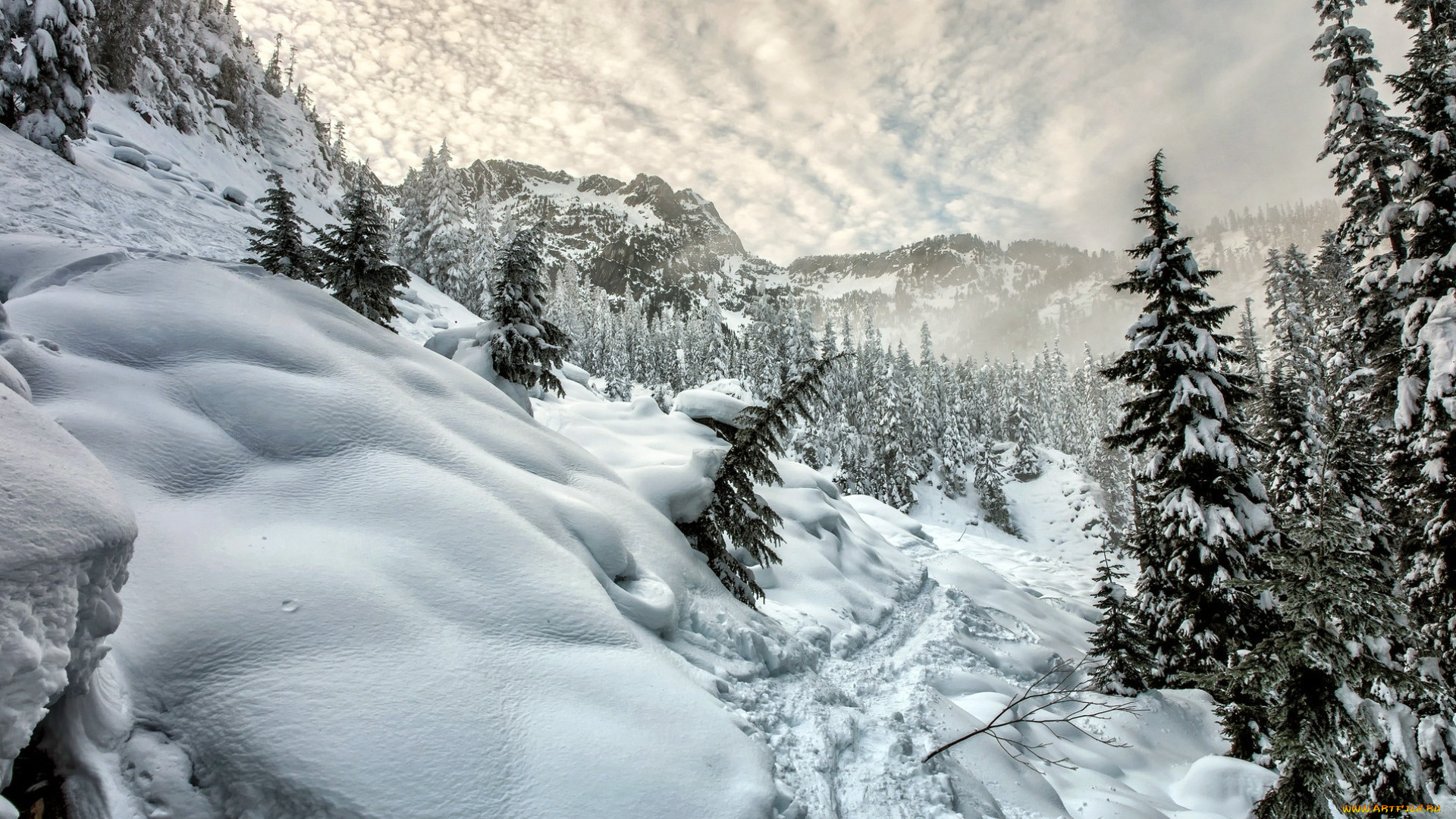 природа, зима, снег