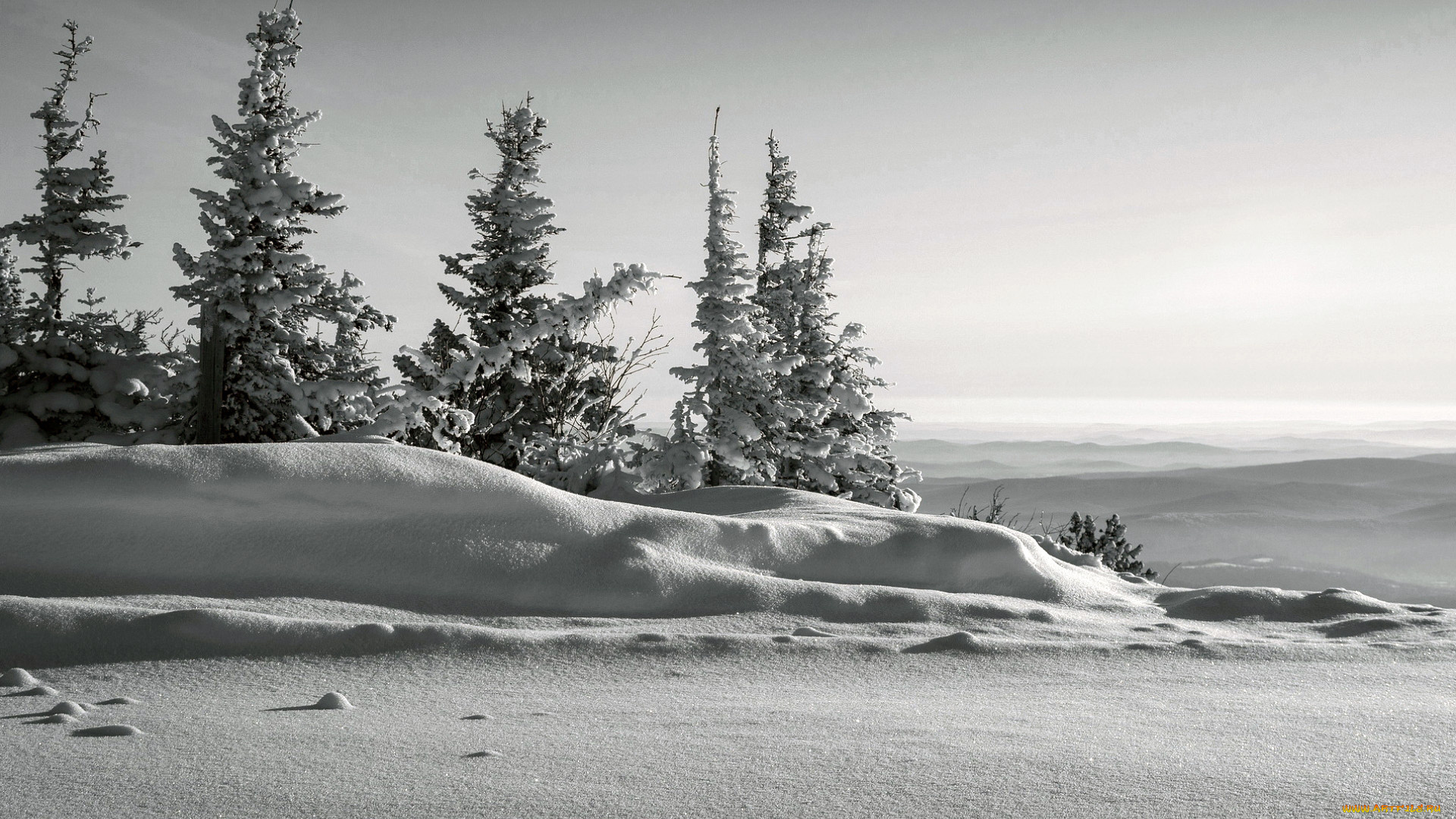 природа, зима, снег