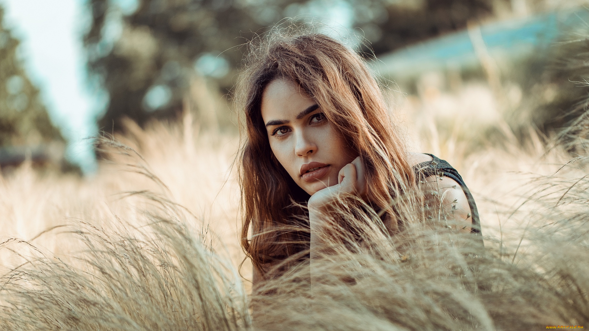 девушка, девушки, -unsort, , лица, , портреты, модель, sheila, sanko, sheila, sanko