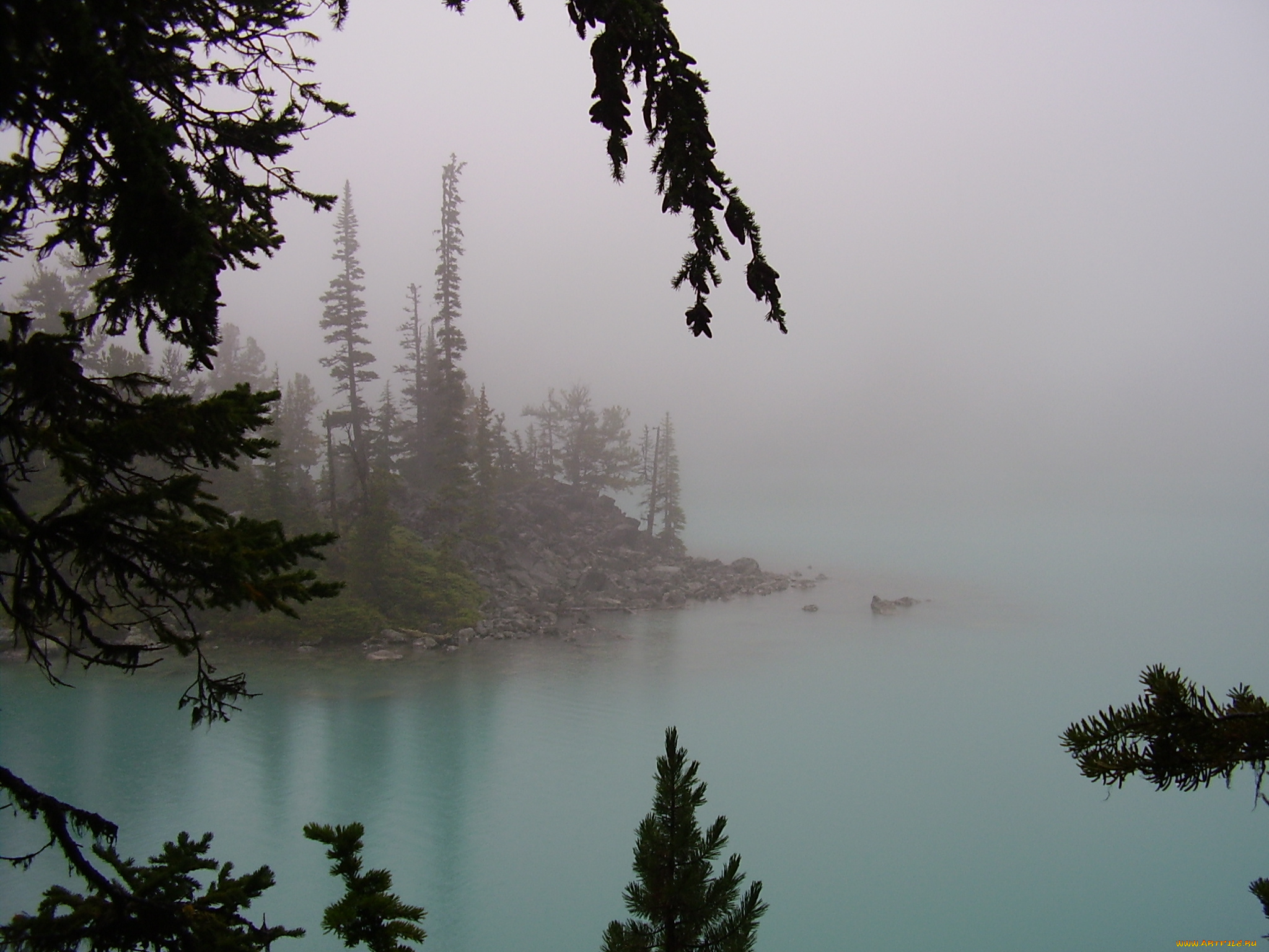 природа, реки, озера, деревья, озеро, туман