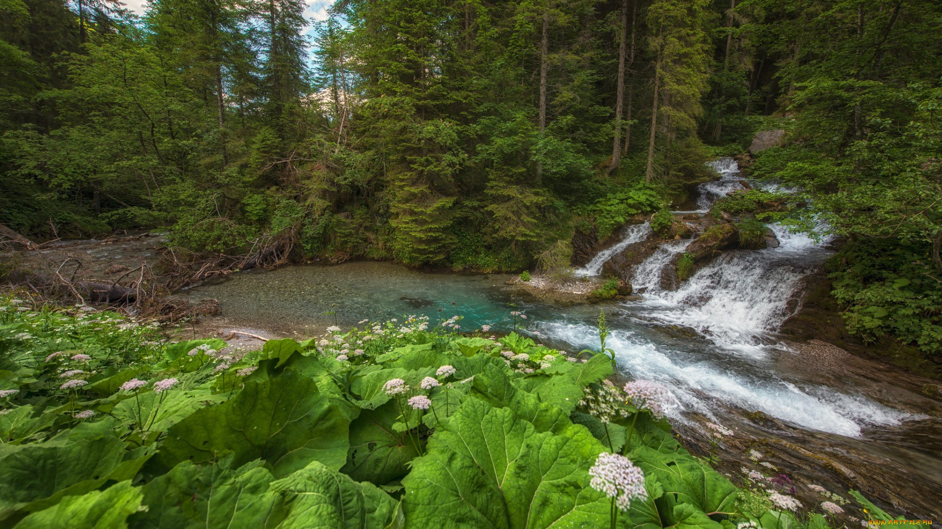 природа, реки, озера, простор