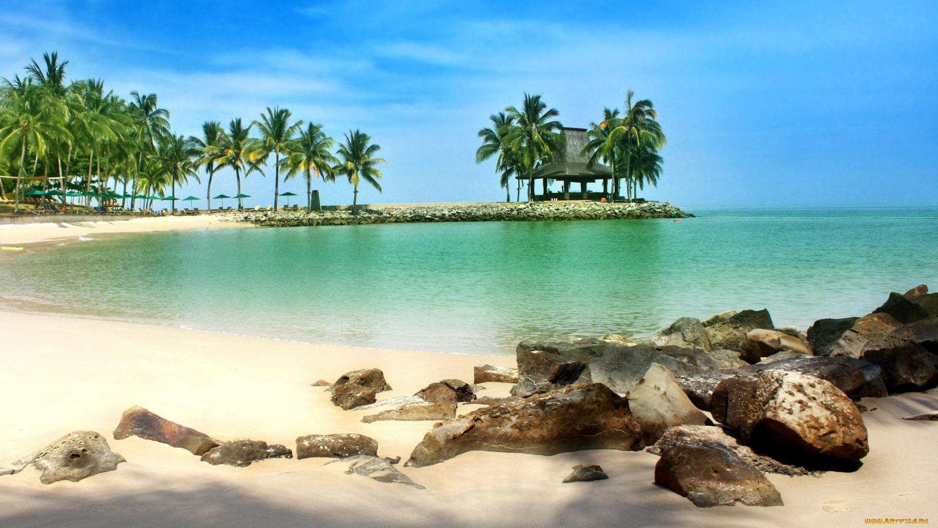 природа, тропики, пальмы, лагуна, пляж