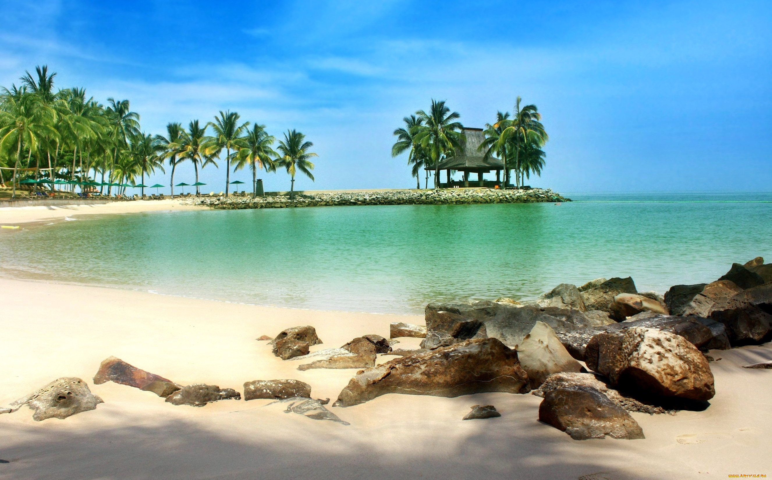 природа, тропики, пальмы, лагуна, пляж