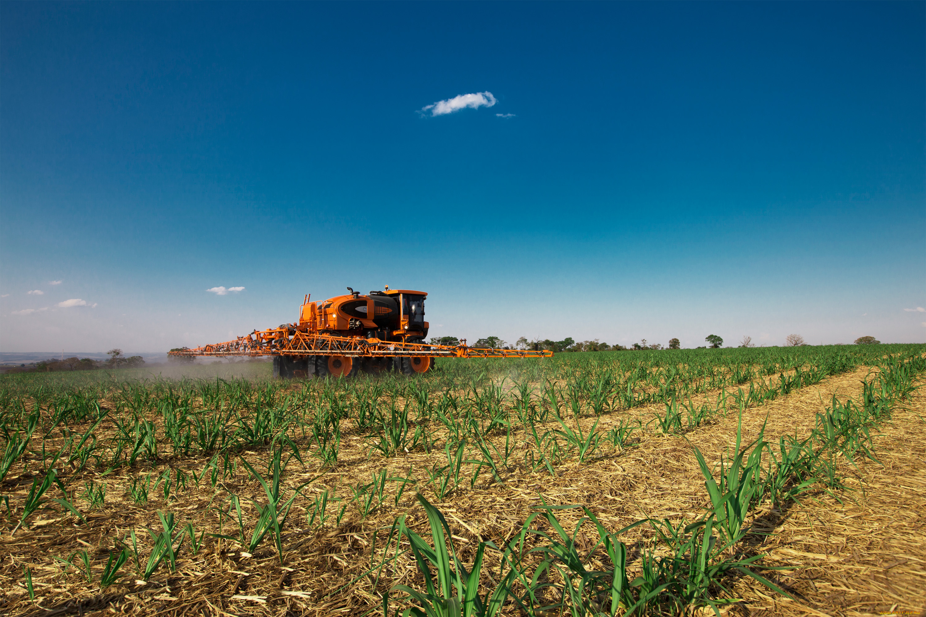 техника, распылители, jacto