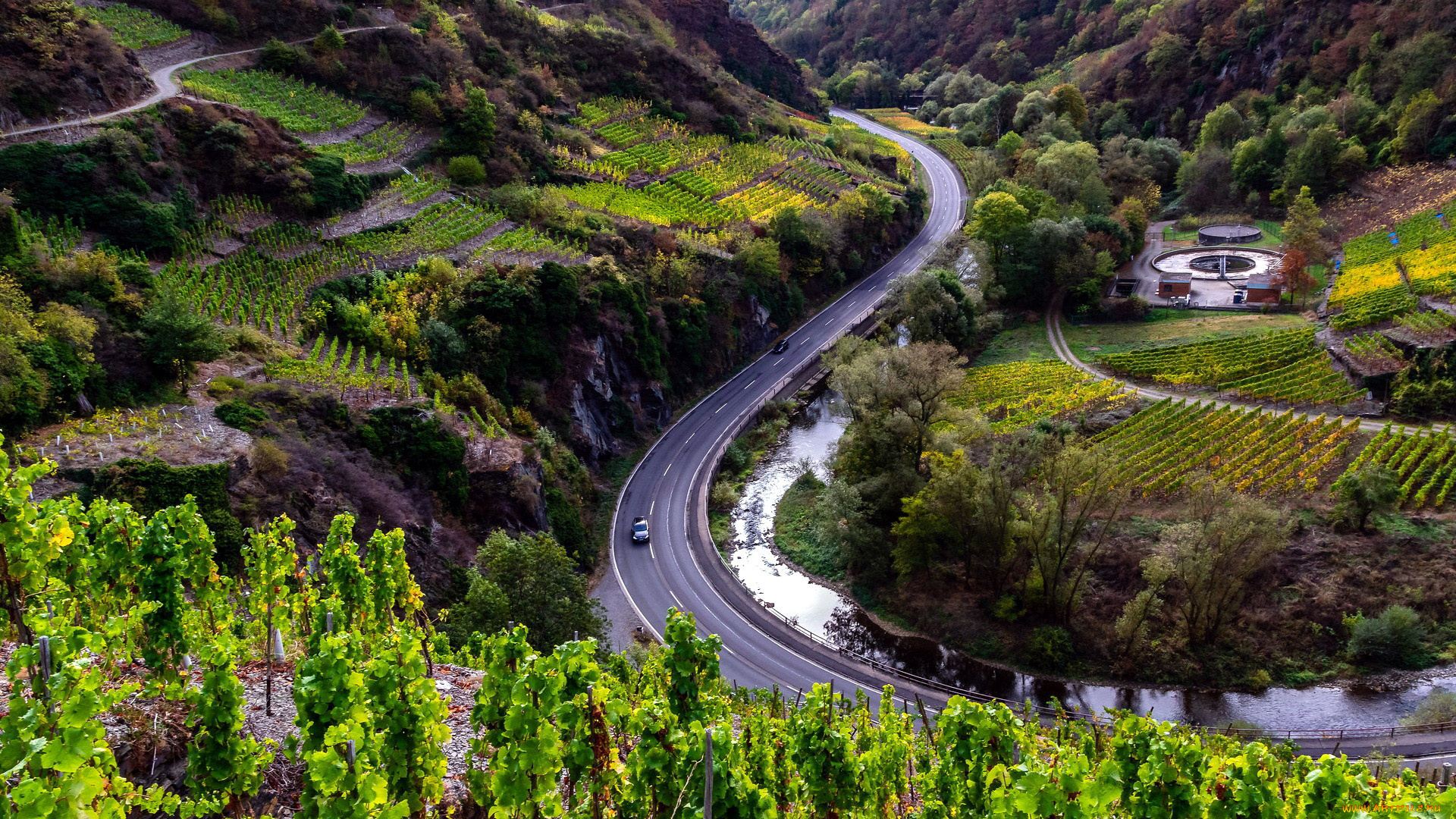 ahr, valley, dernau, germany, природа, дороги, ahr, valley