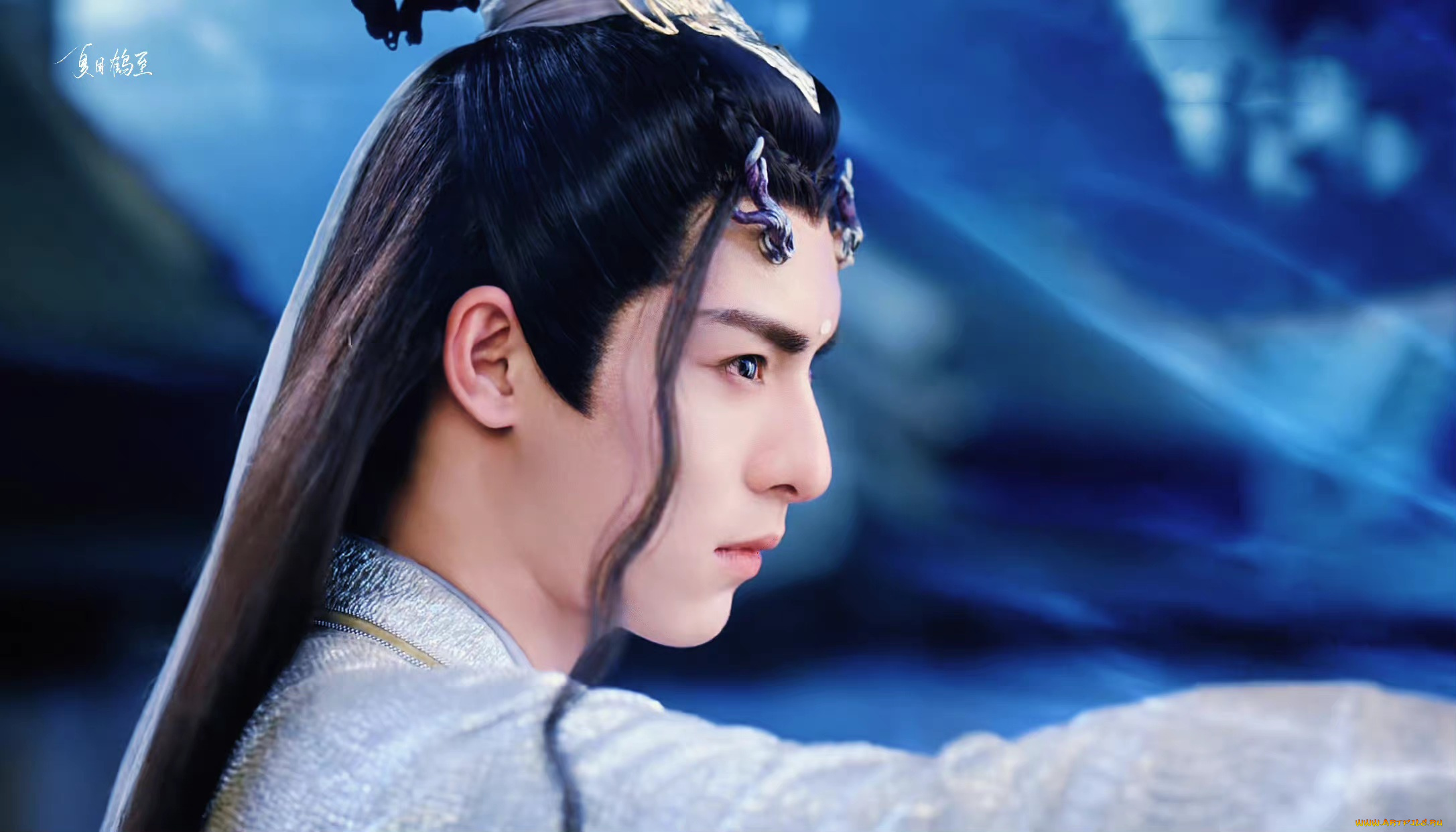 кино, фильмы, immortal, samsara, вечная, сансара, щепки, агарового, дерева, ван, хао, сюань