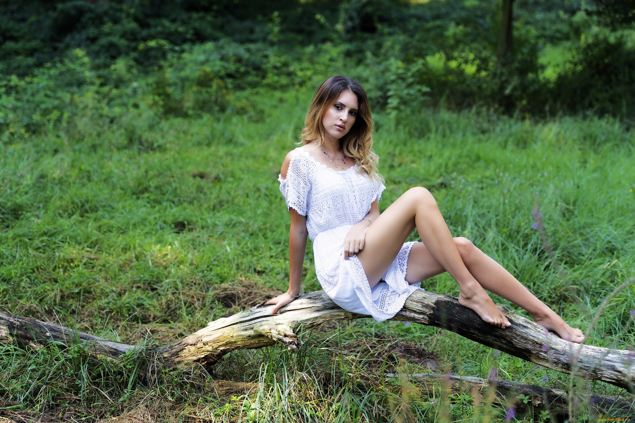 девушки, -, рыжеволосые, и, разноцветные, трава, ствол, поза, белое, платье, chiara