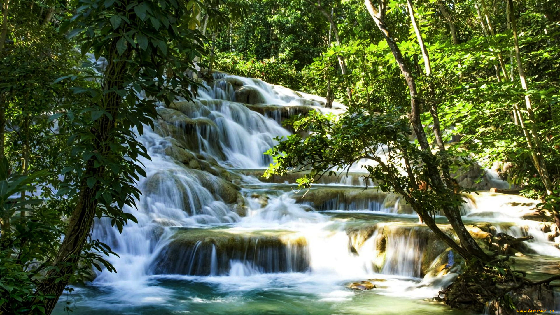 dunn’s, river, falls, jamaica, природа, водопады, dunn, river, falls