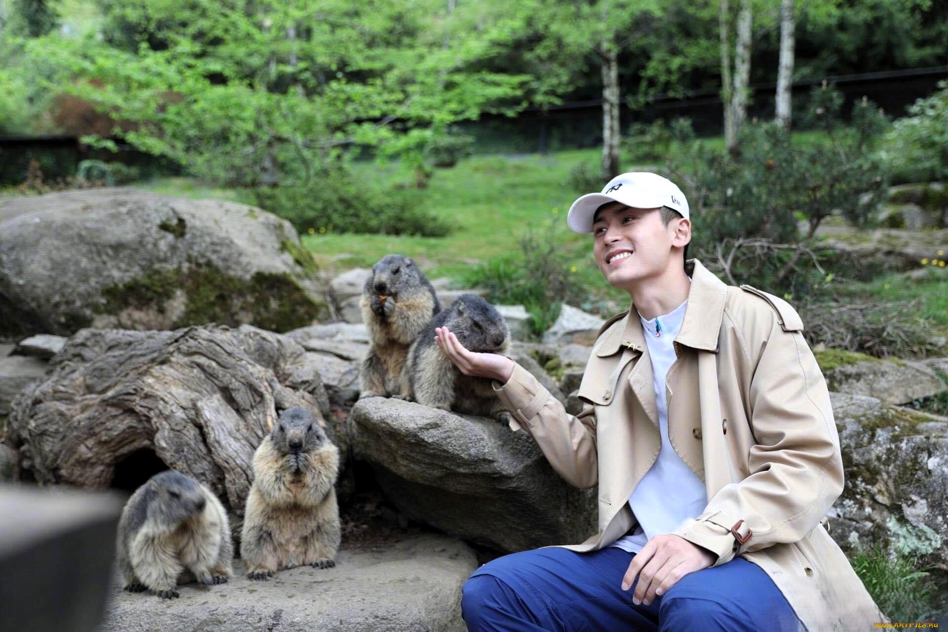 мужчины, zhang, zhehan, актер, кепка, плащ, сурки