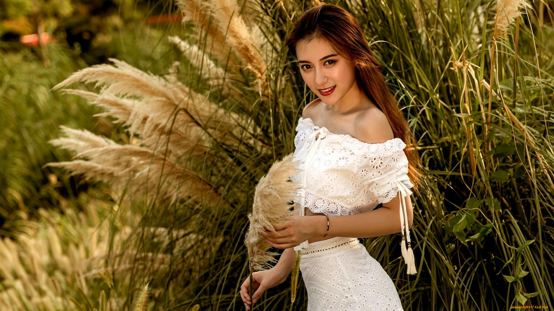 девушки, -, азиатки, шатенка, блузка, юбка, камыши