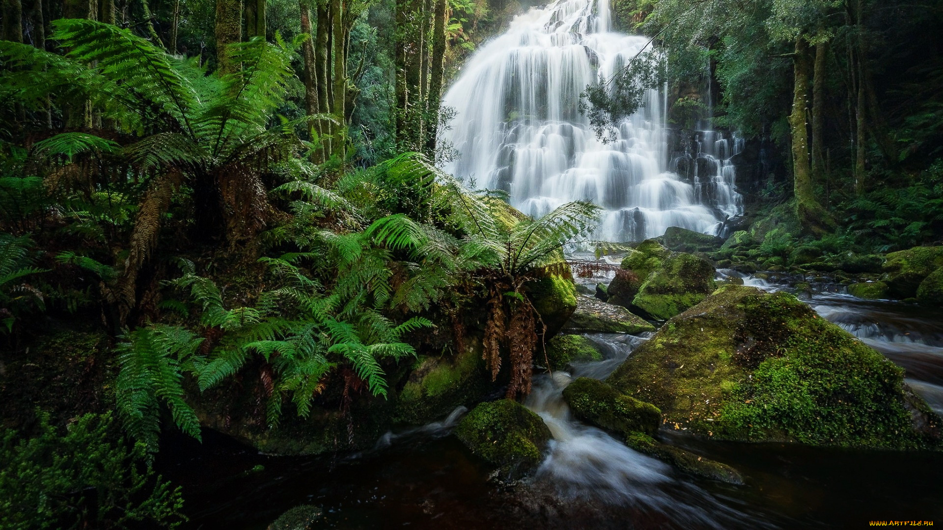 tasmania, australia, природа, водопады