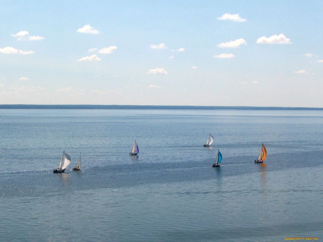 корабли, Яхты