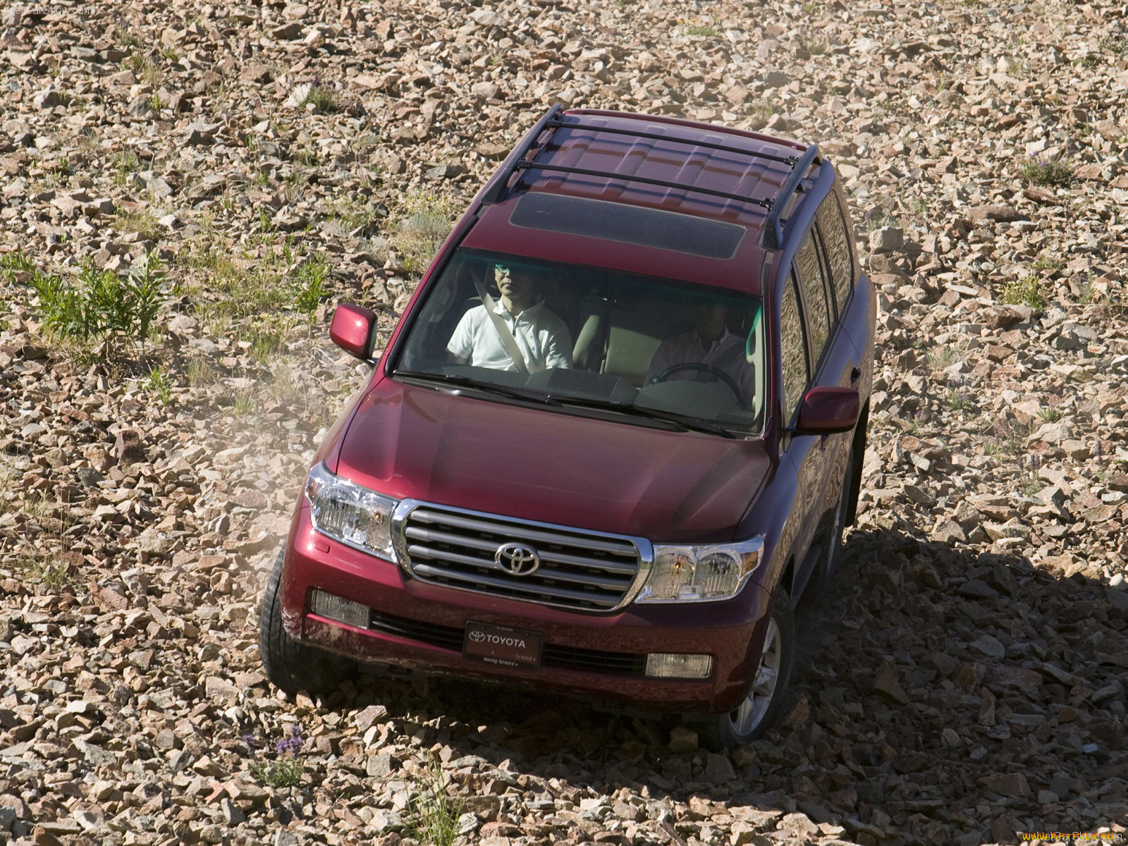 автомобили, toyota