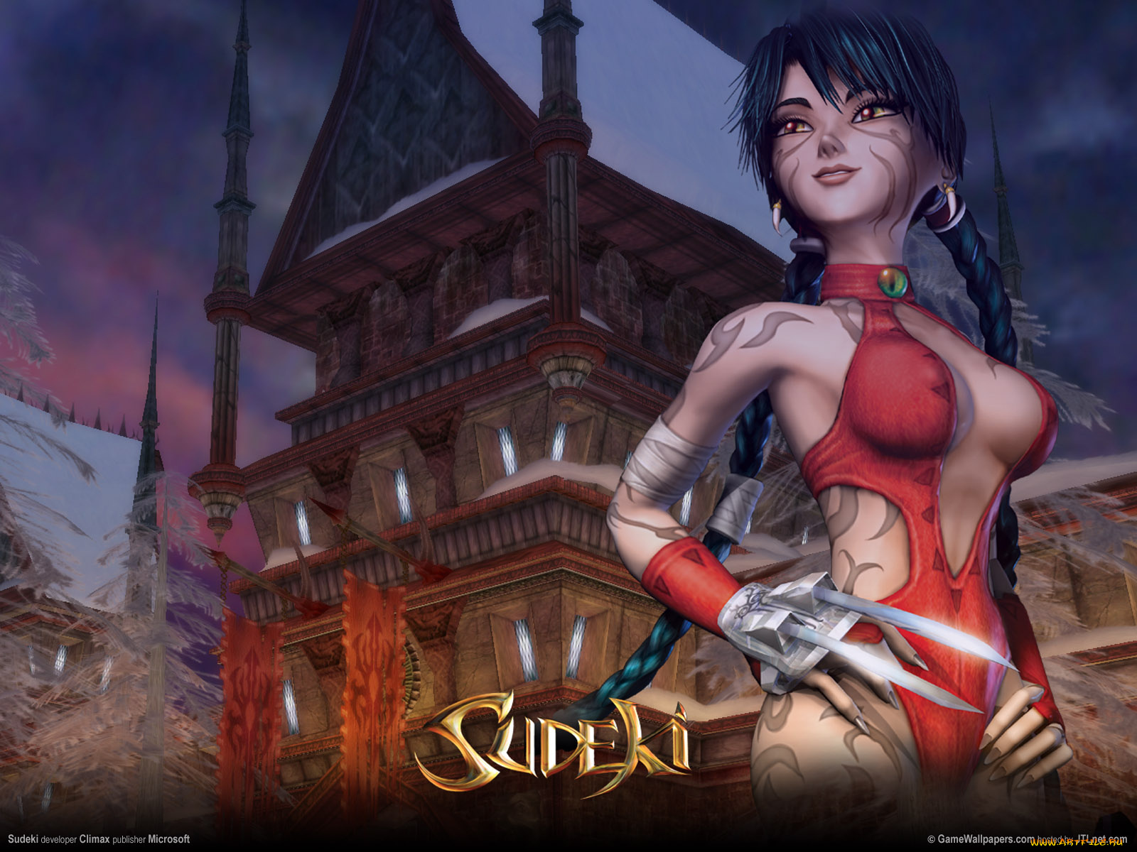 видео, игры, sudeki