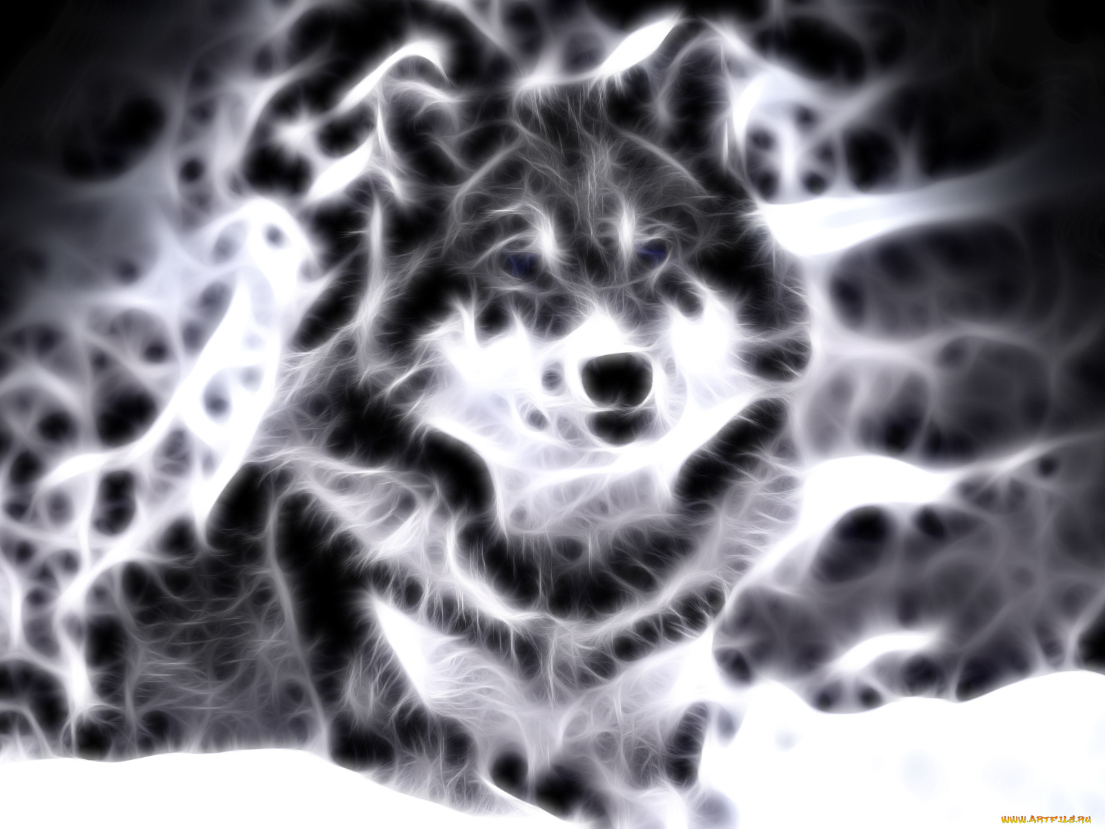 3д, графика, animals, животные, собака, фрактал