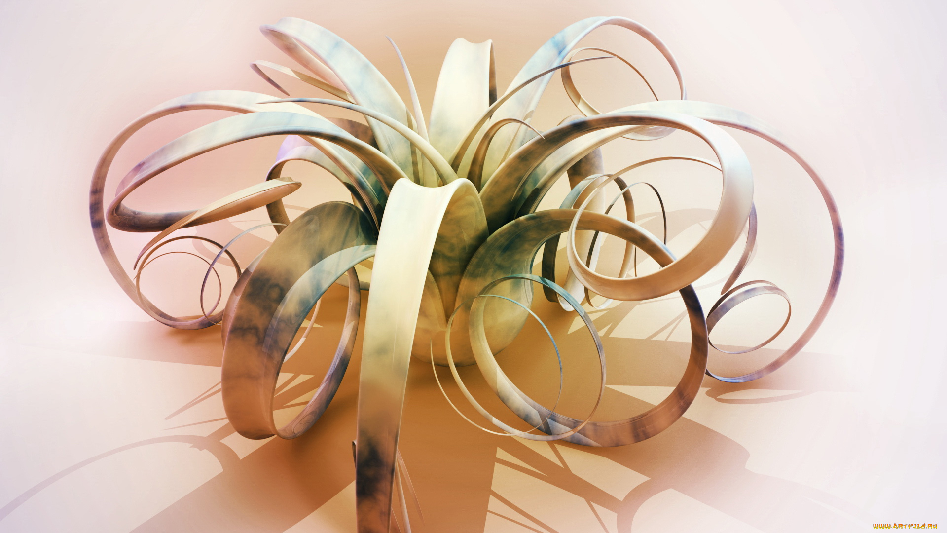 3д, графика, flowers, цветы, абстракция