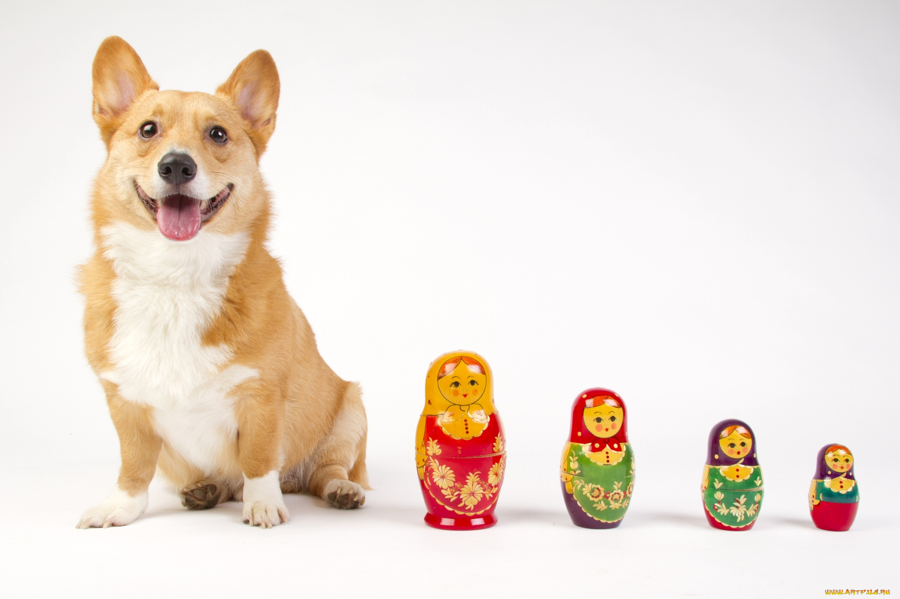 животные, собаки, матрешки, пёс