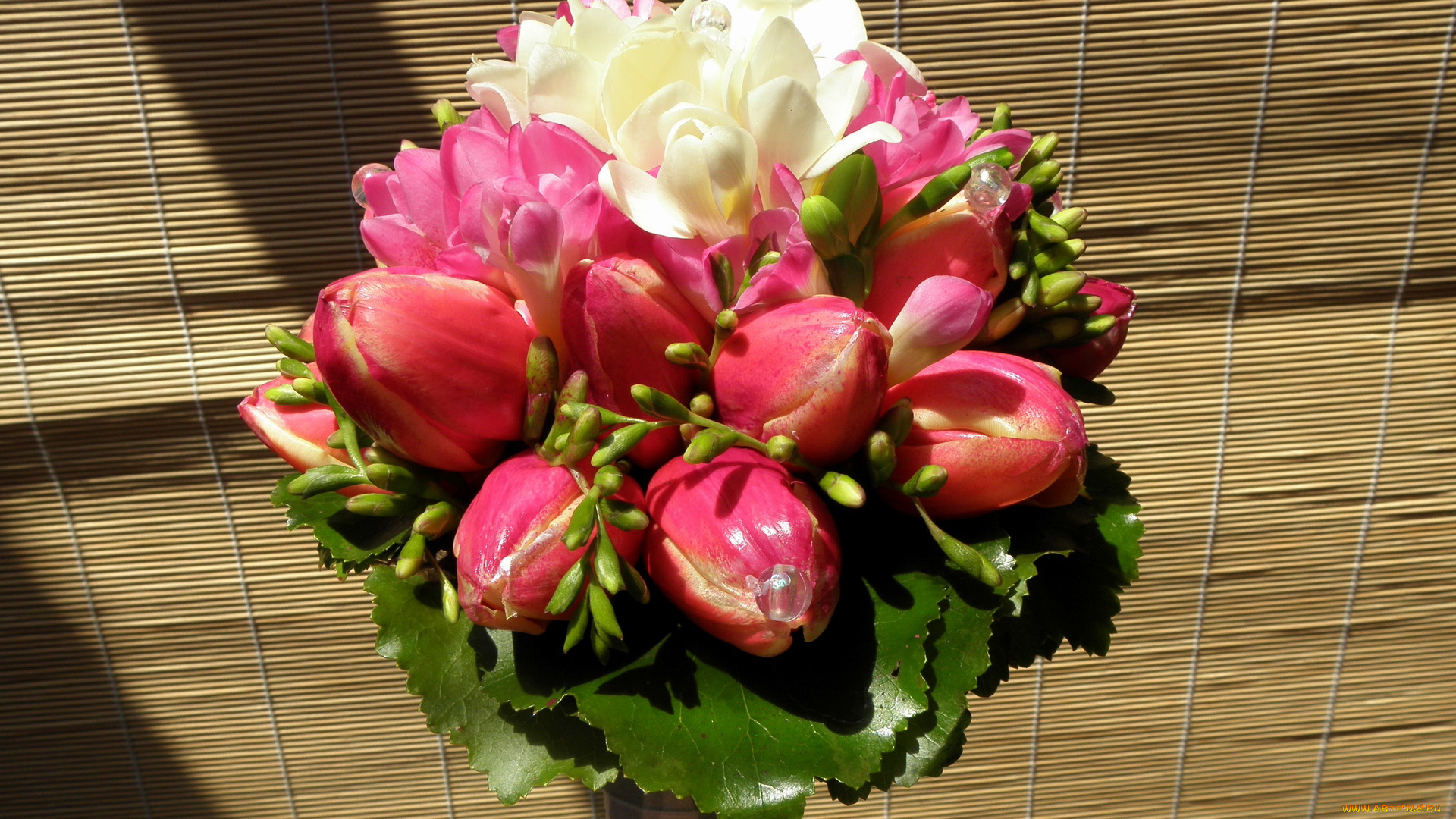 цветы, тюльпаны, букет