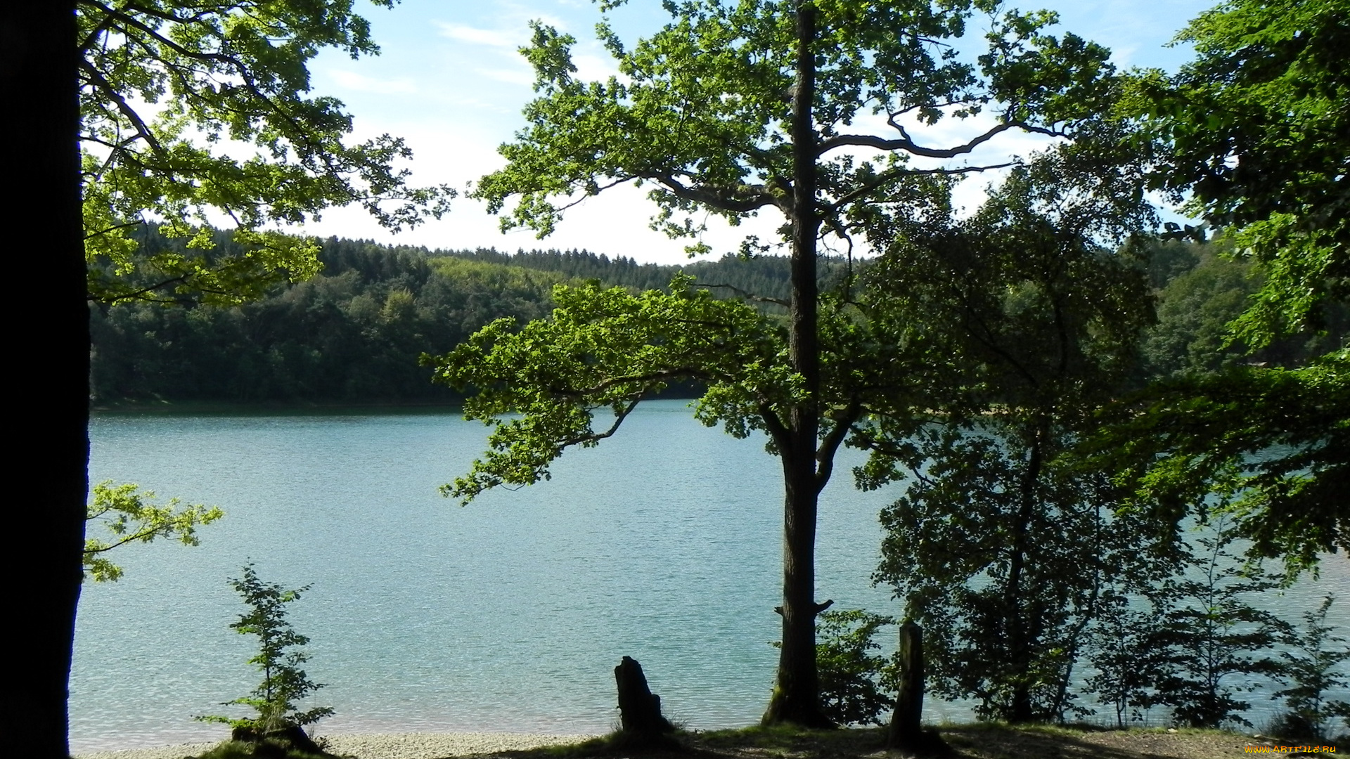 германия, бреккерфельд, природа, реки, озера, река