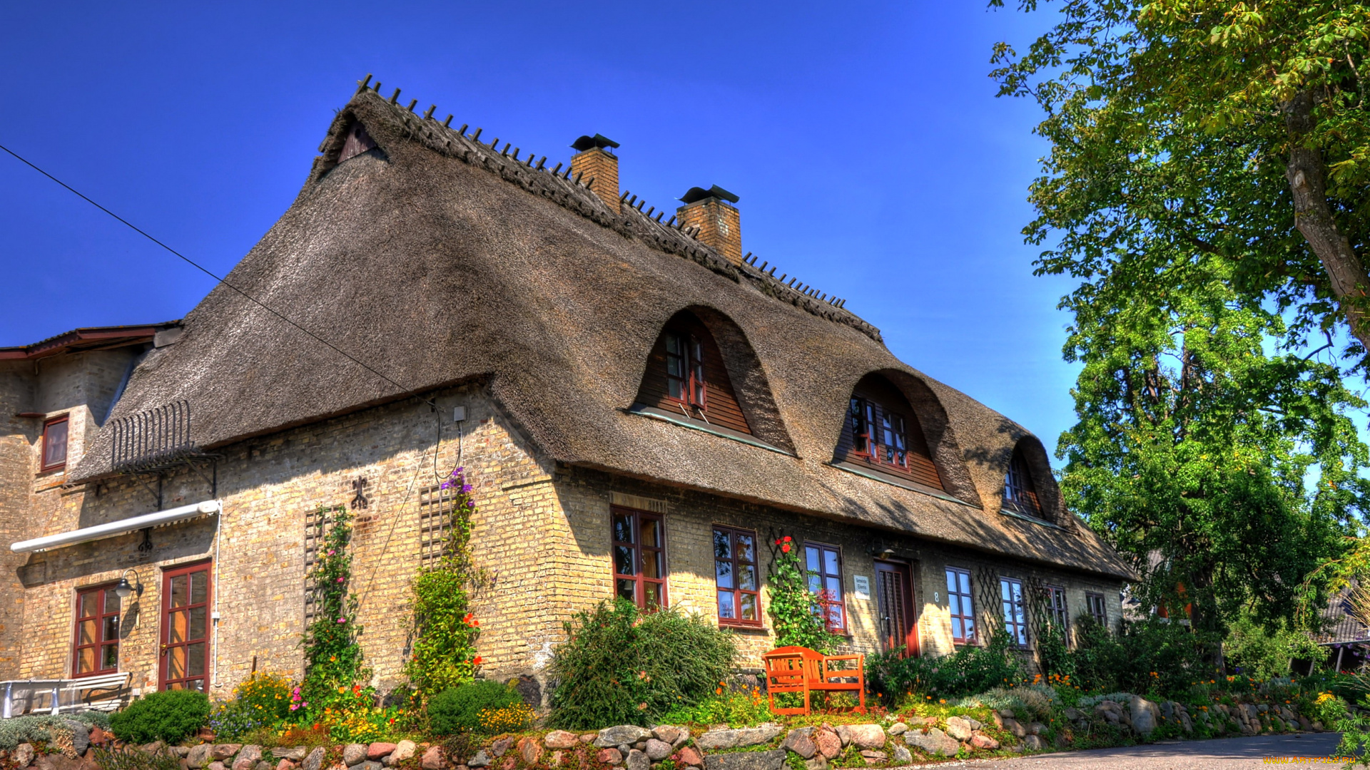 германия, экенис, города, здания, дома, дом, цветы