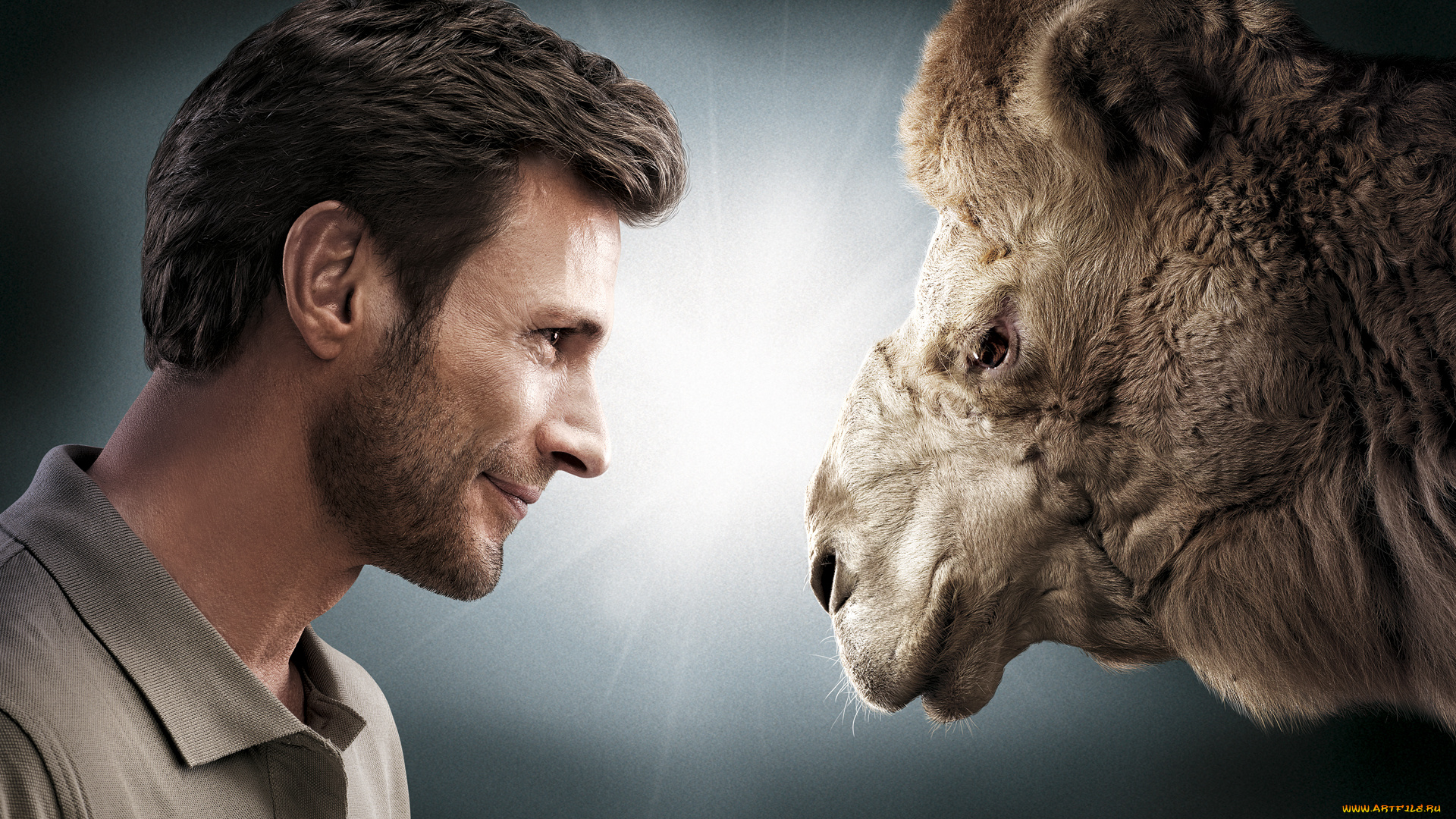 мужчины, unsort, верблюд