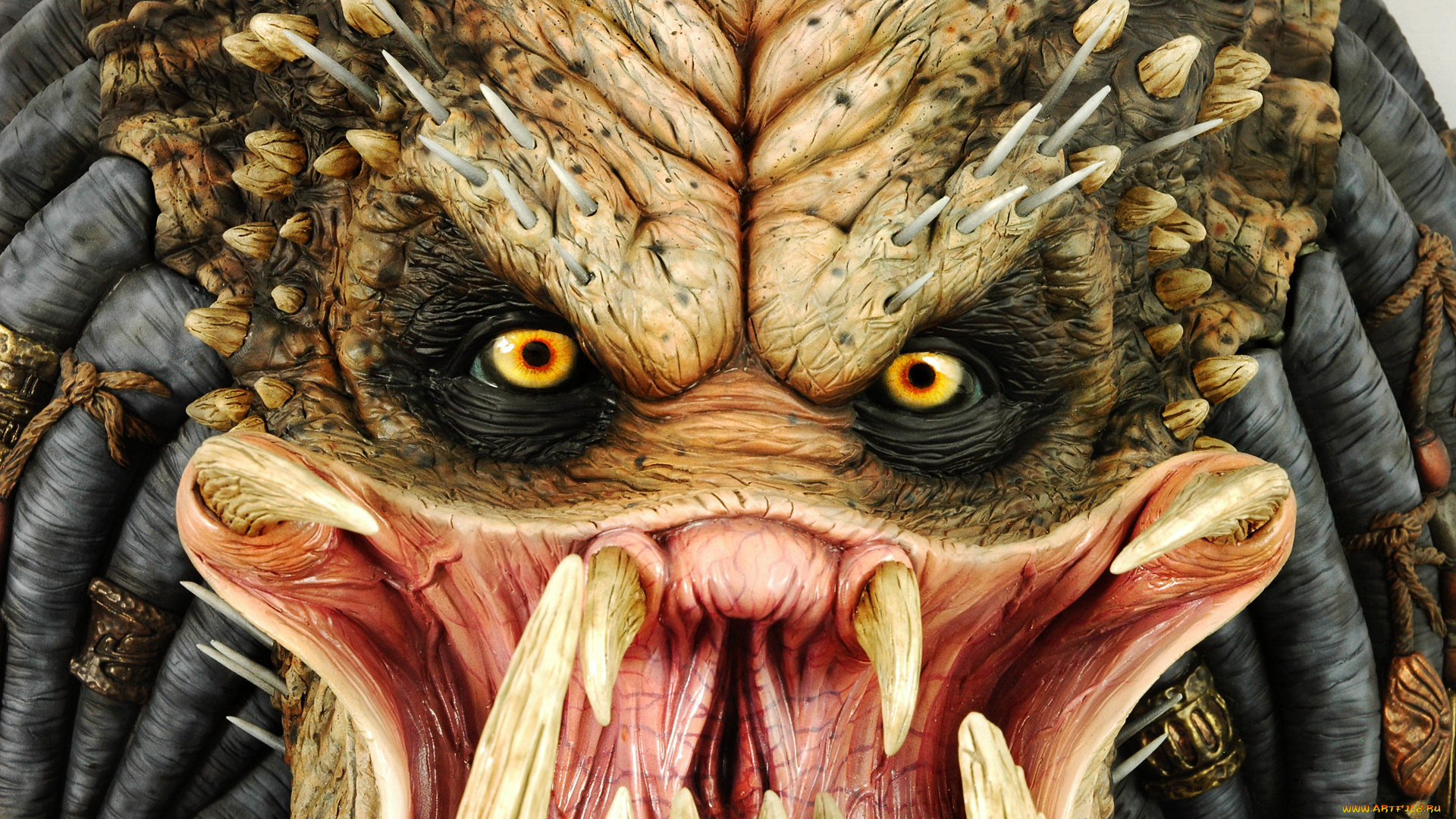 predator, кино, фильмы, хищник, кинофильм