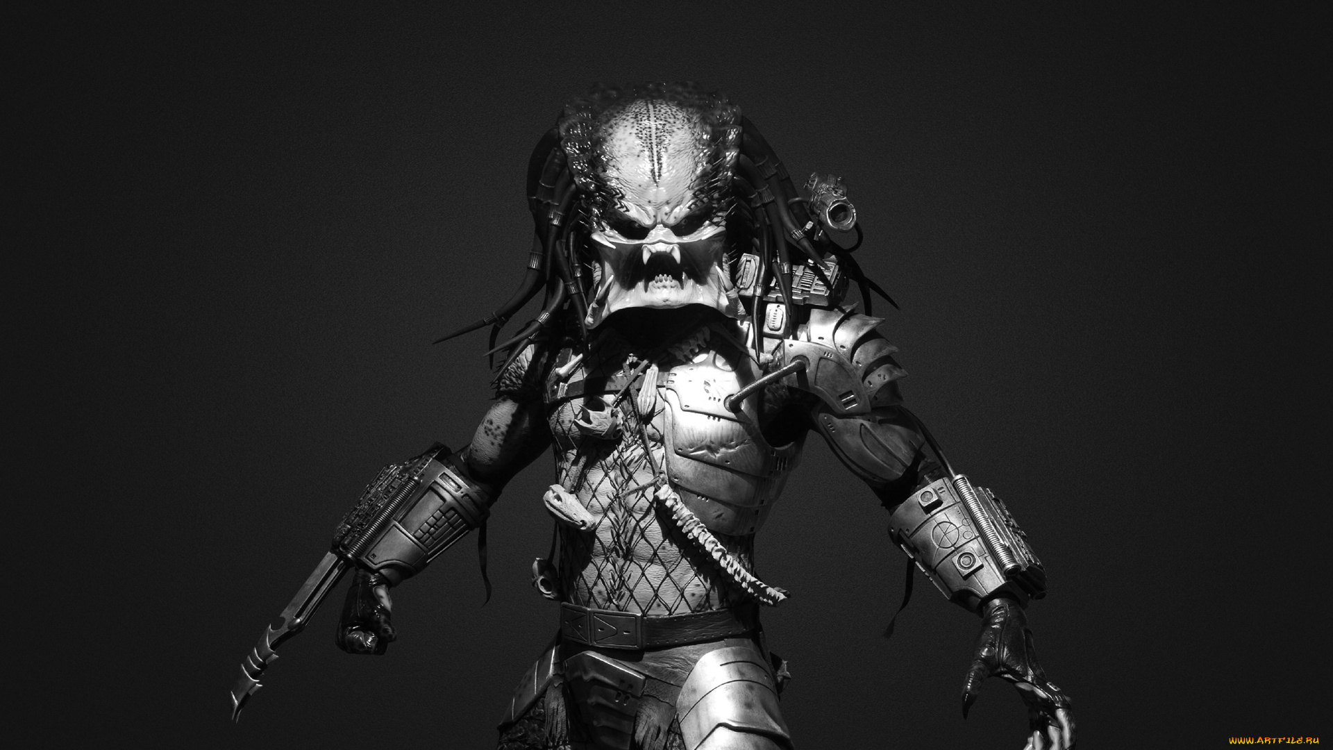 predator, кино, фильмы, кинофильм, хищник