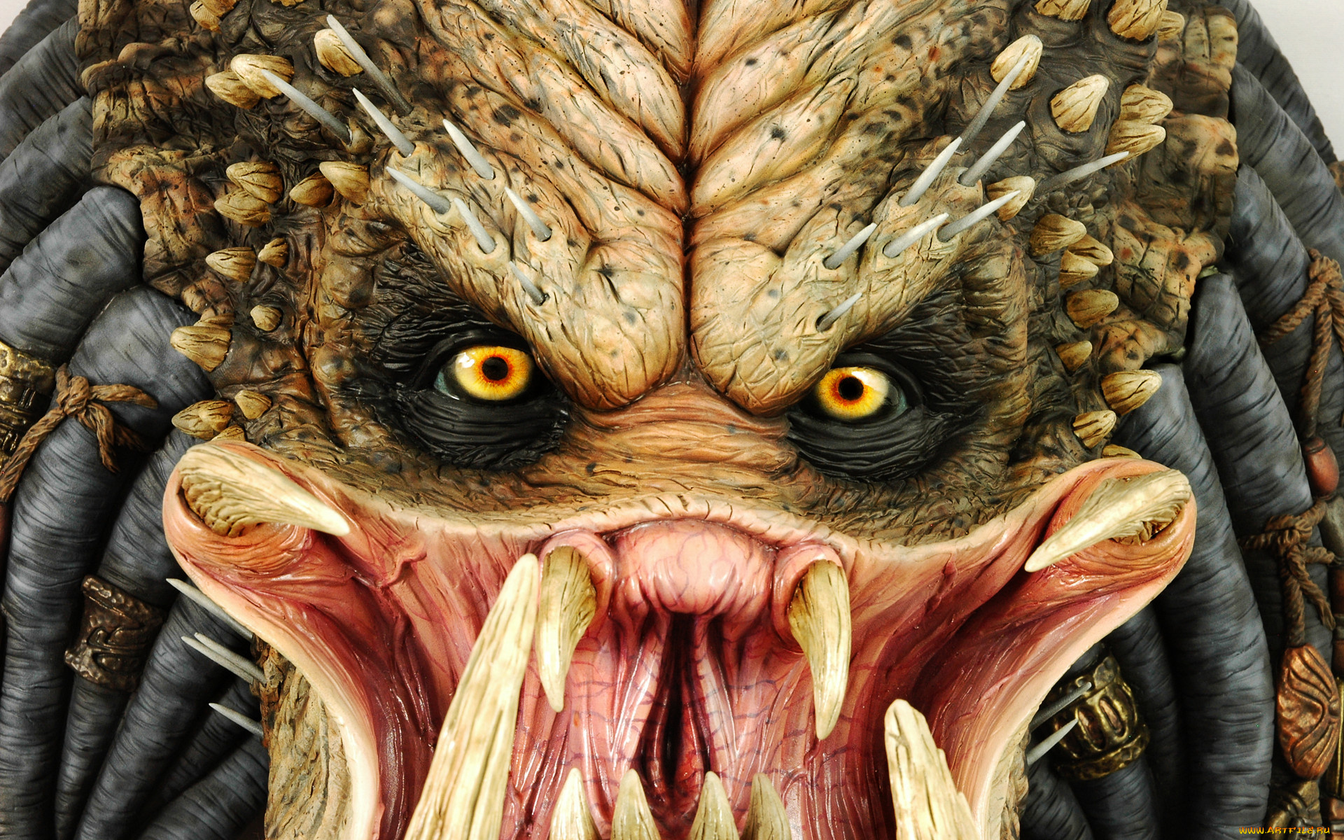 predator, кино, фильмы, хищник, кинофильм