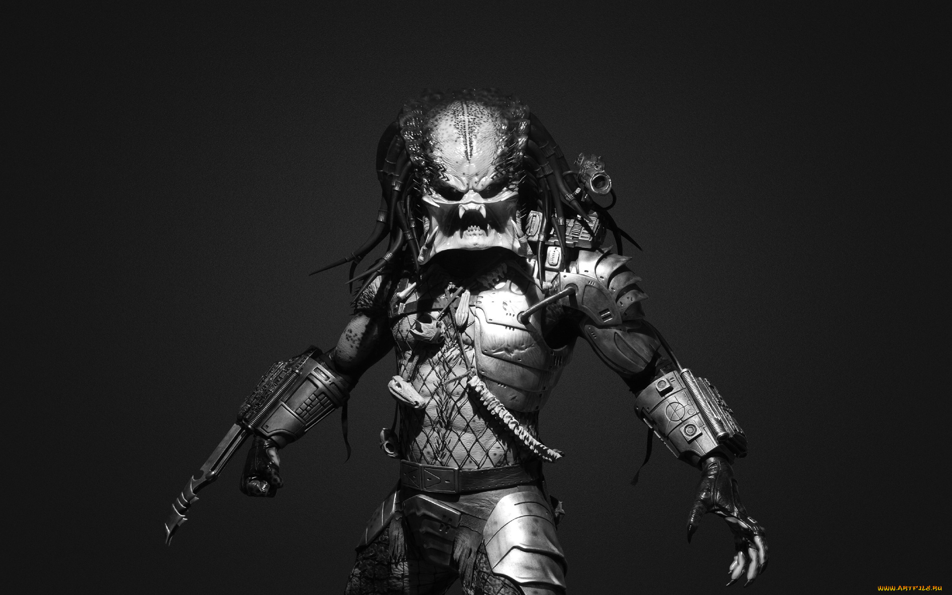predator, кино, фильмы, кинофильм, хищник