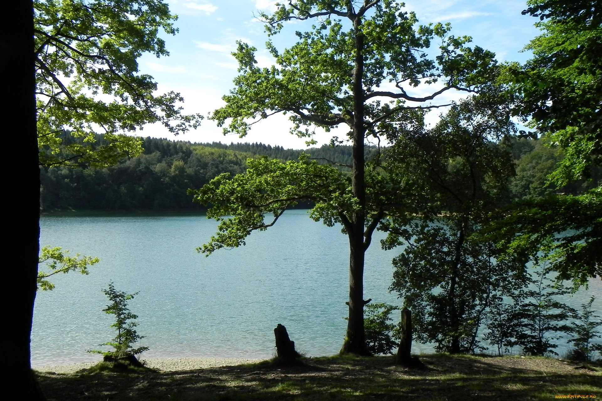 германия, бреккерфельд, природа, реки, озера, река