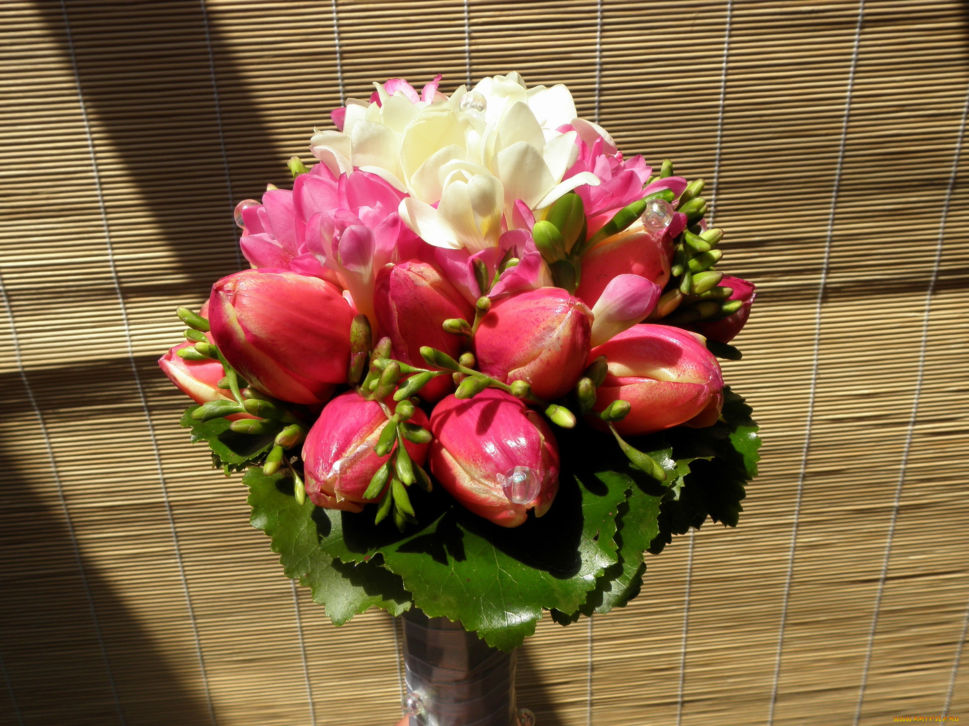 цветы, тюльпаны, букет