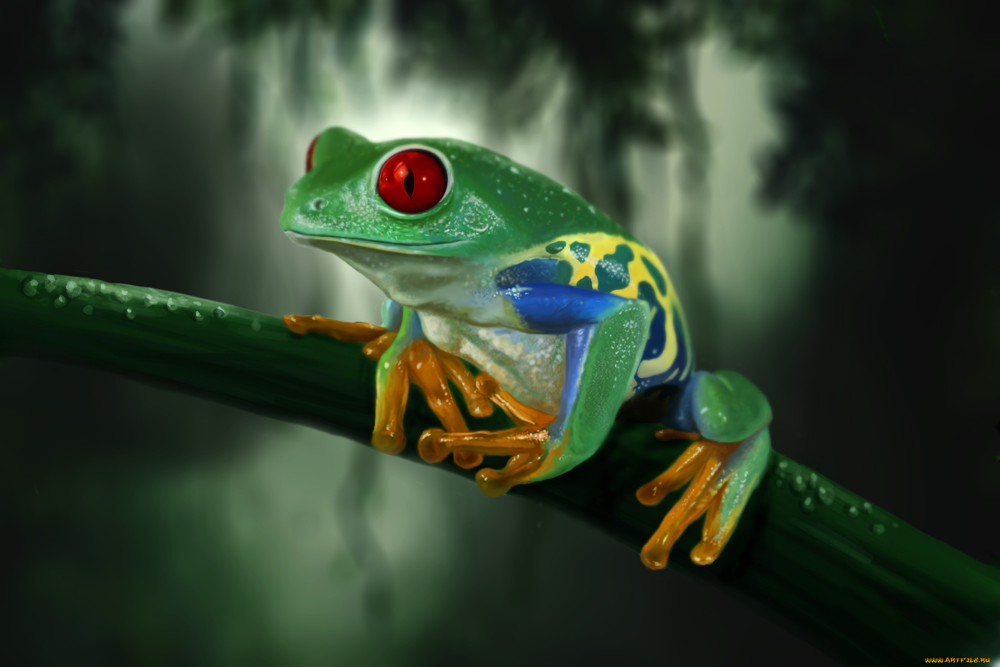 frog, животные, лягушки, древесная, лягушка