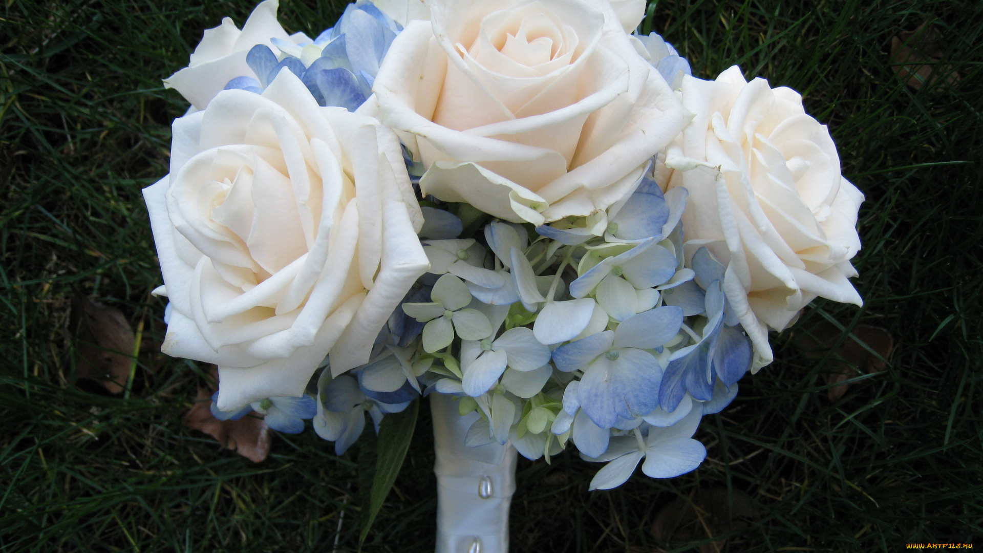 цветы, букеты, композиции, букет, розы