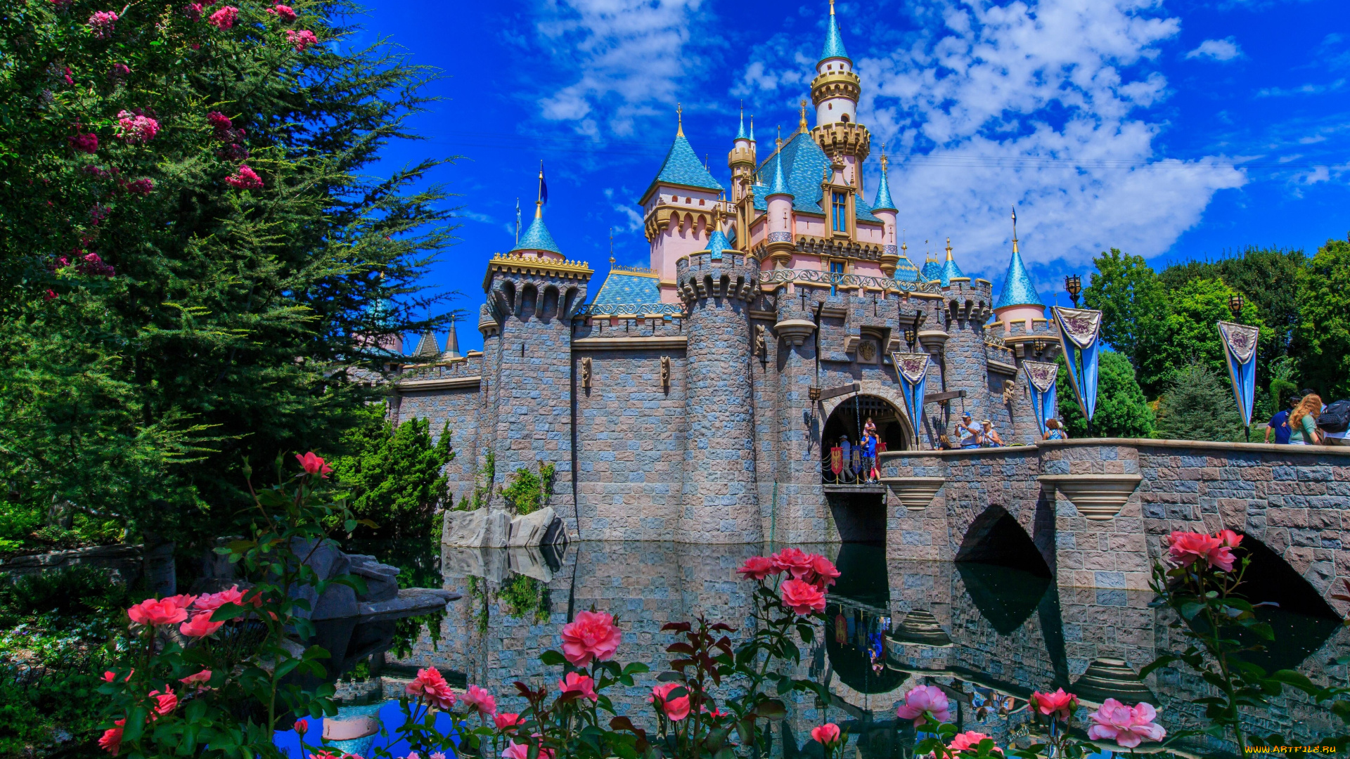 disneyland, anaheim, california, города, диснейленд, замок, спящей, красавицы, анахайм, калифорния, мост, розы