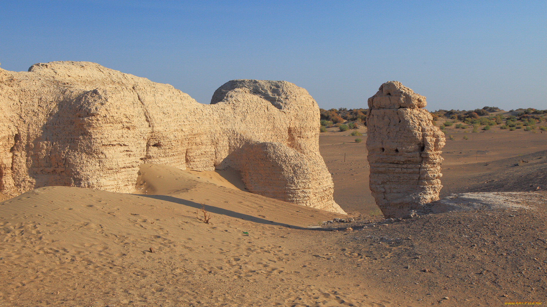 природа, пустыни, кусты, песок