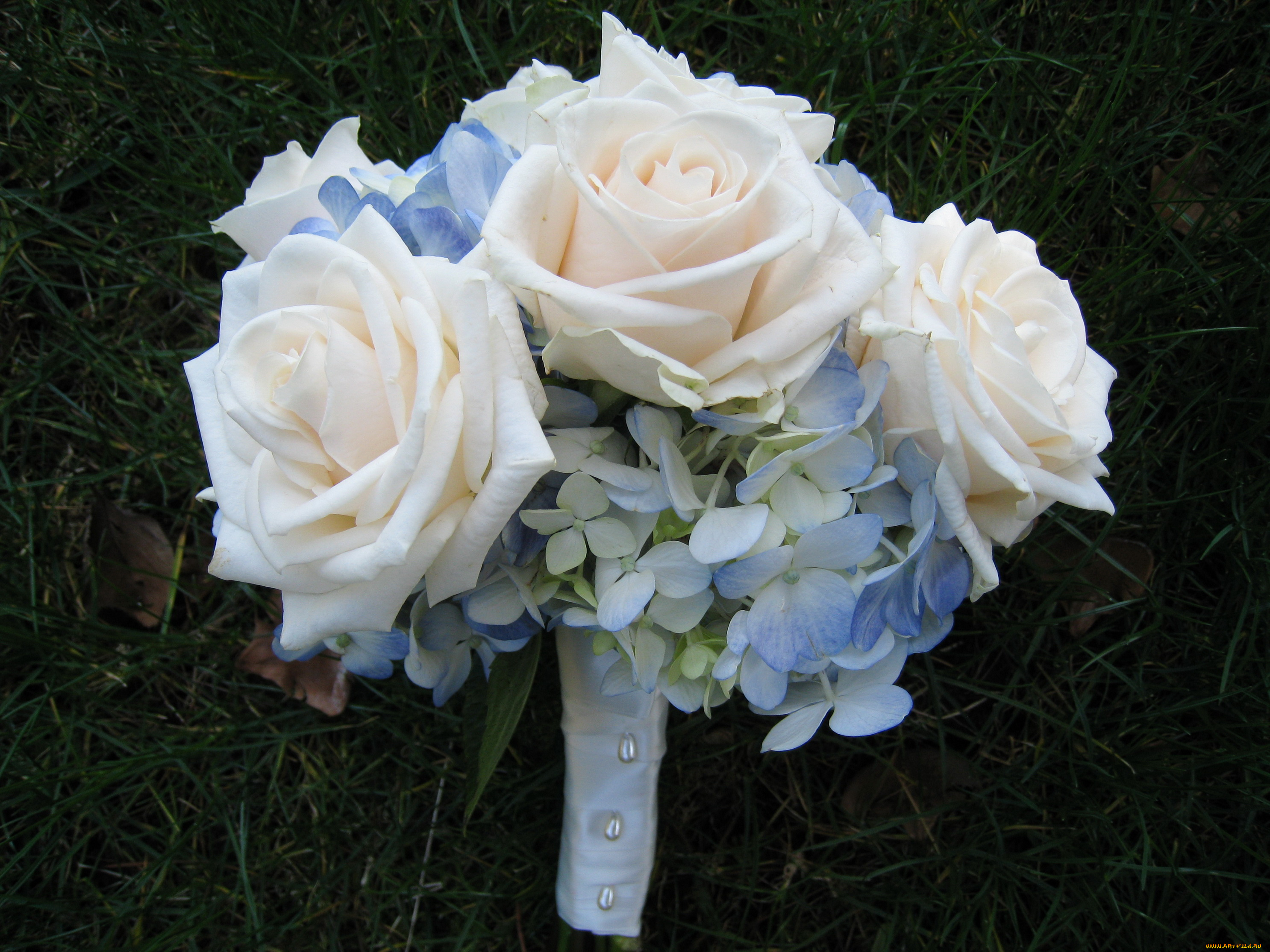 цветы, букеты, композиции, букет, розы