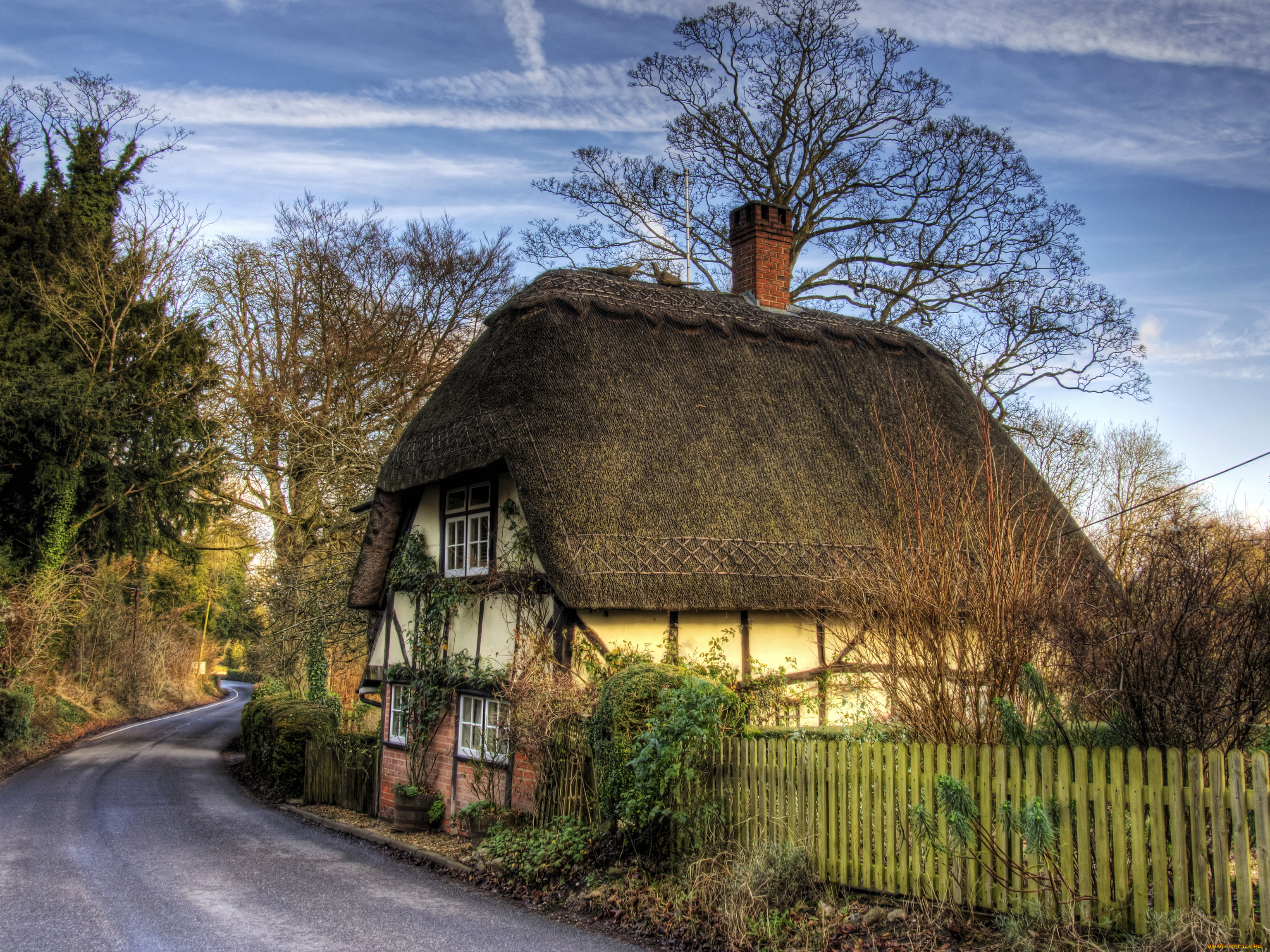 hampshire, англия, города, здания, дома, дом, дорога, растения